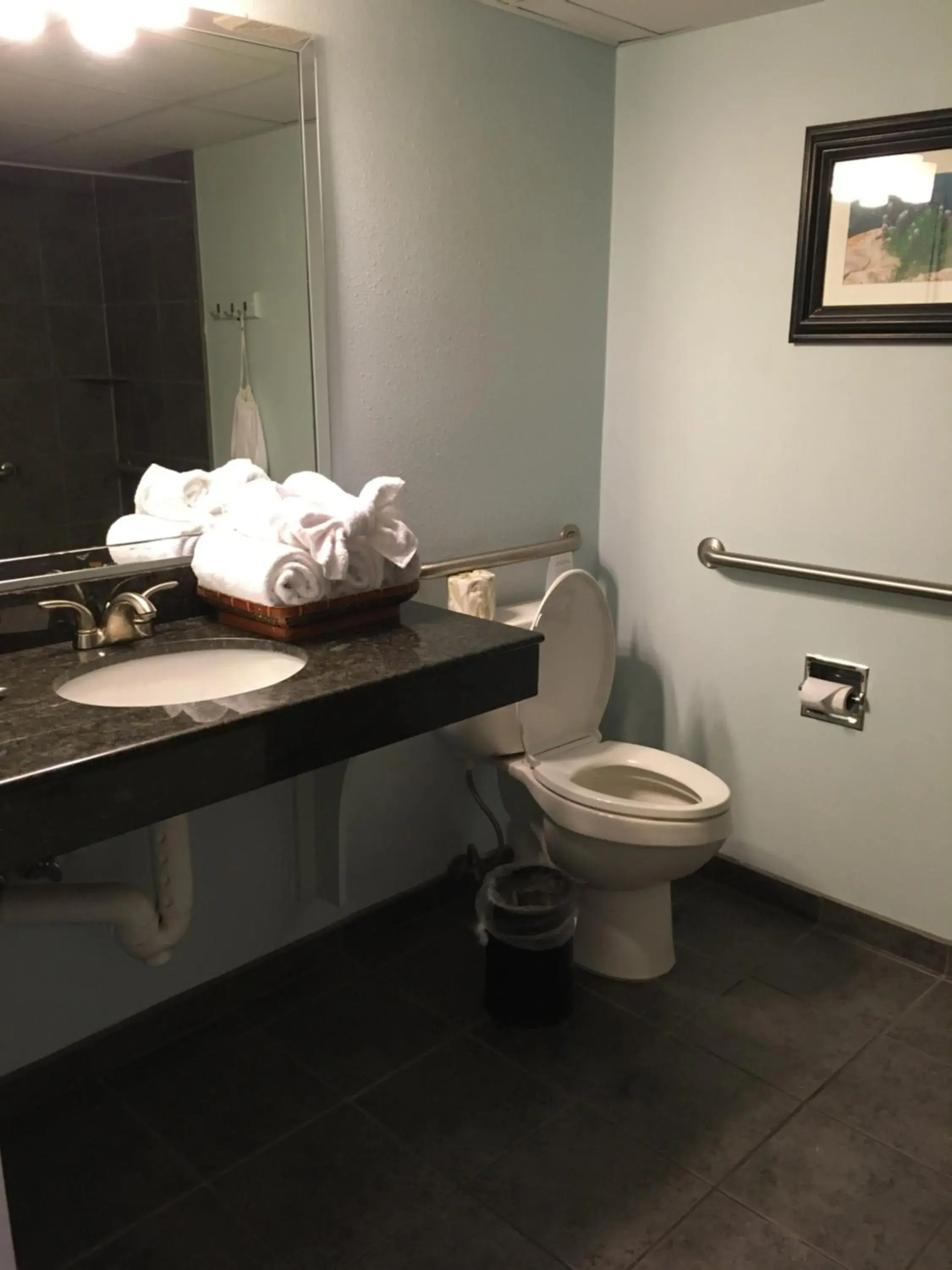 Toilet, Bathroom in Wyndham Garden Hotel Austin