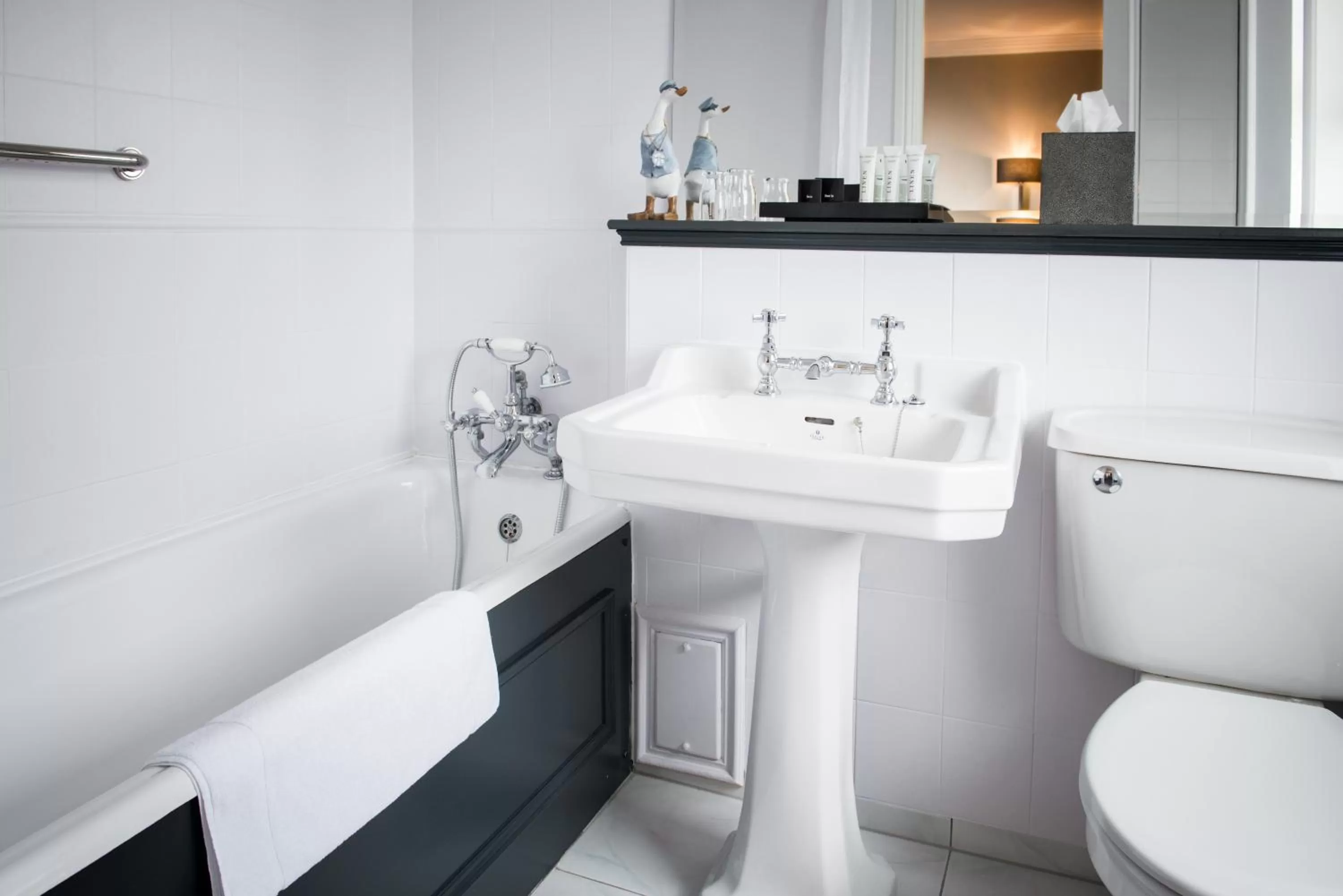 Toilet in The Metropole Hotel Cork