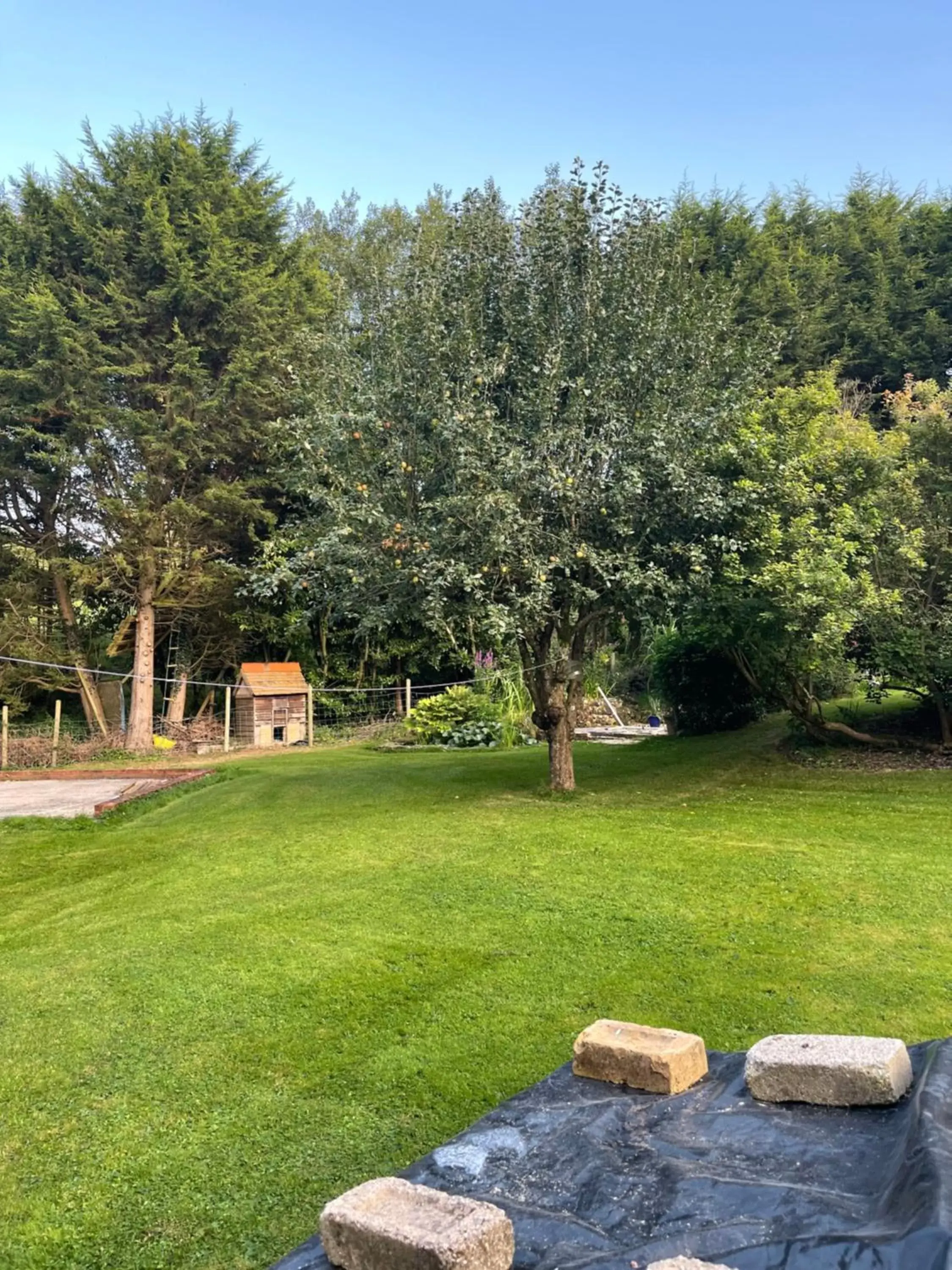 Garden in South Lodge House