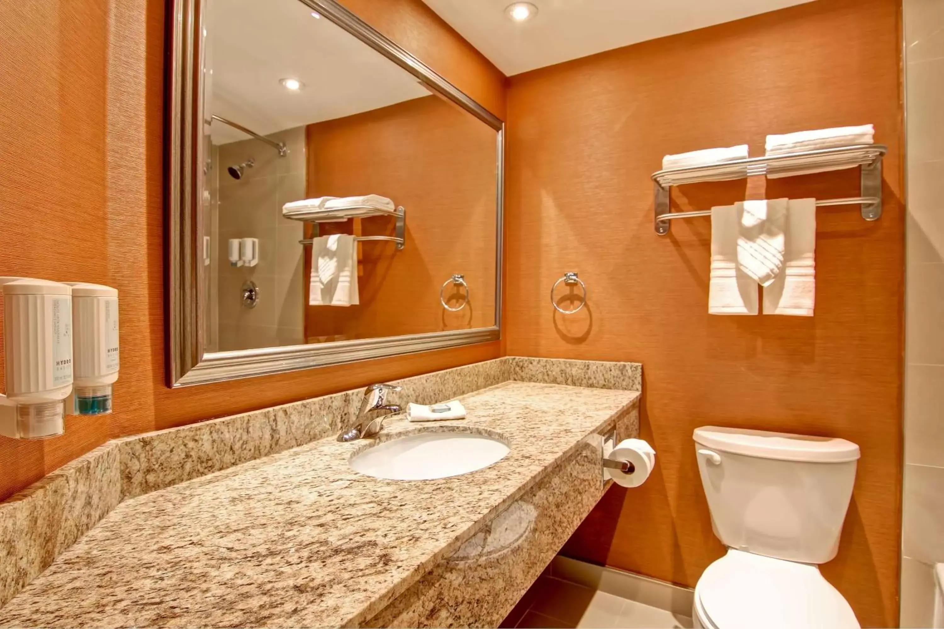 Bathroom in Best Western Plus Toronto North York Hotel & Suites