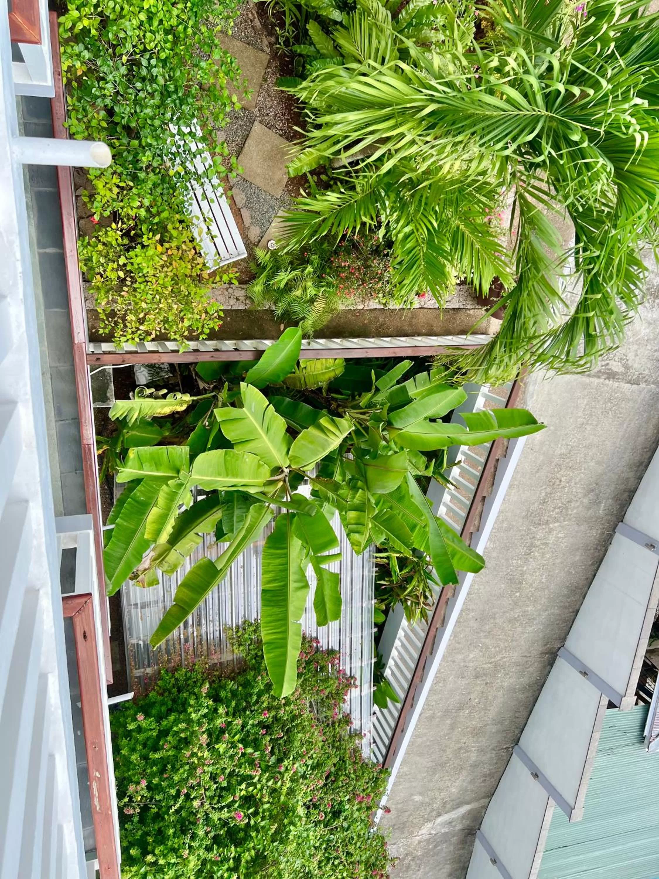 Garden view in Hilltop Boutique Hotel