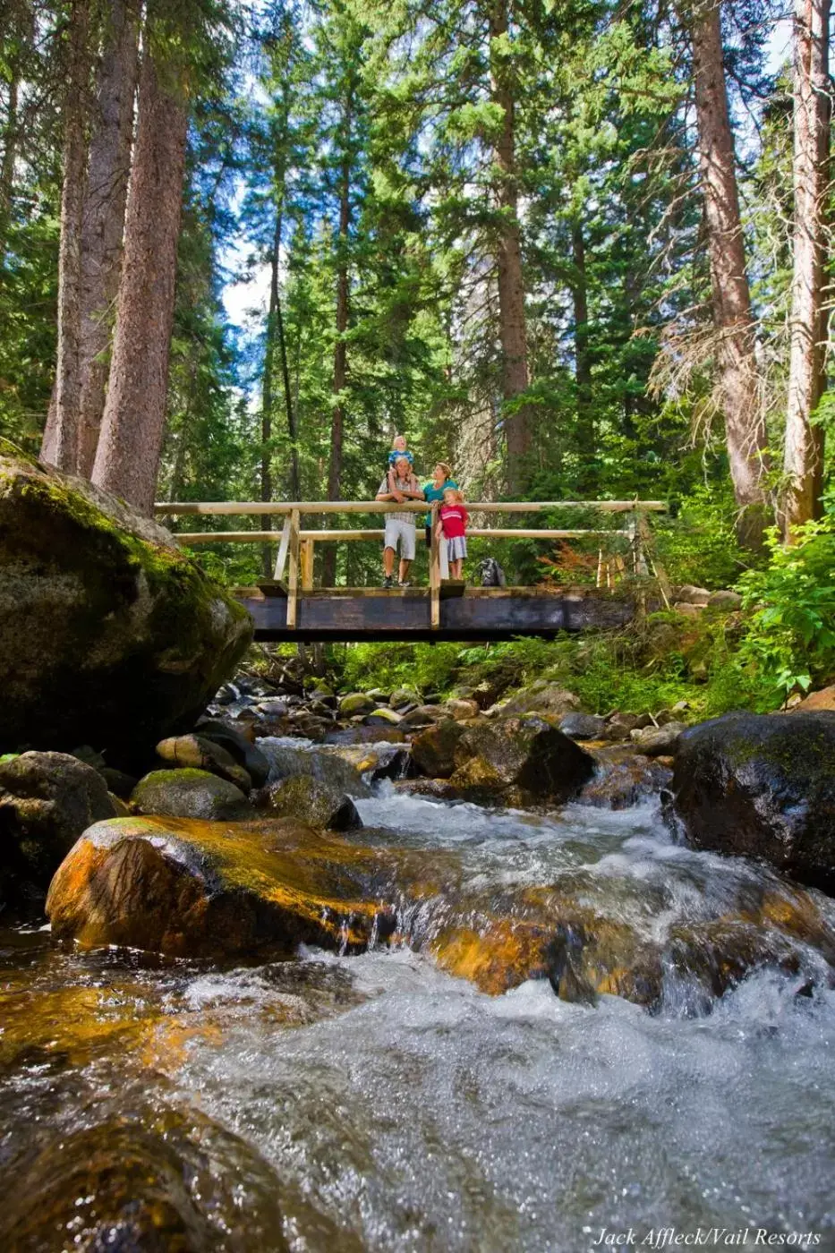 Natural landscape in Poste Montane Lodge by East West