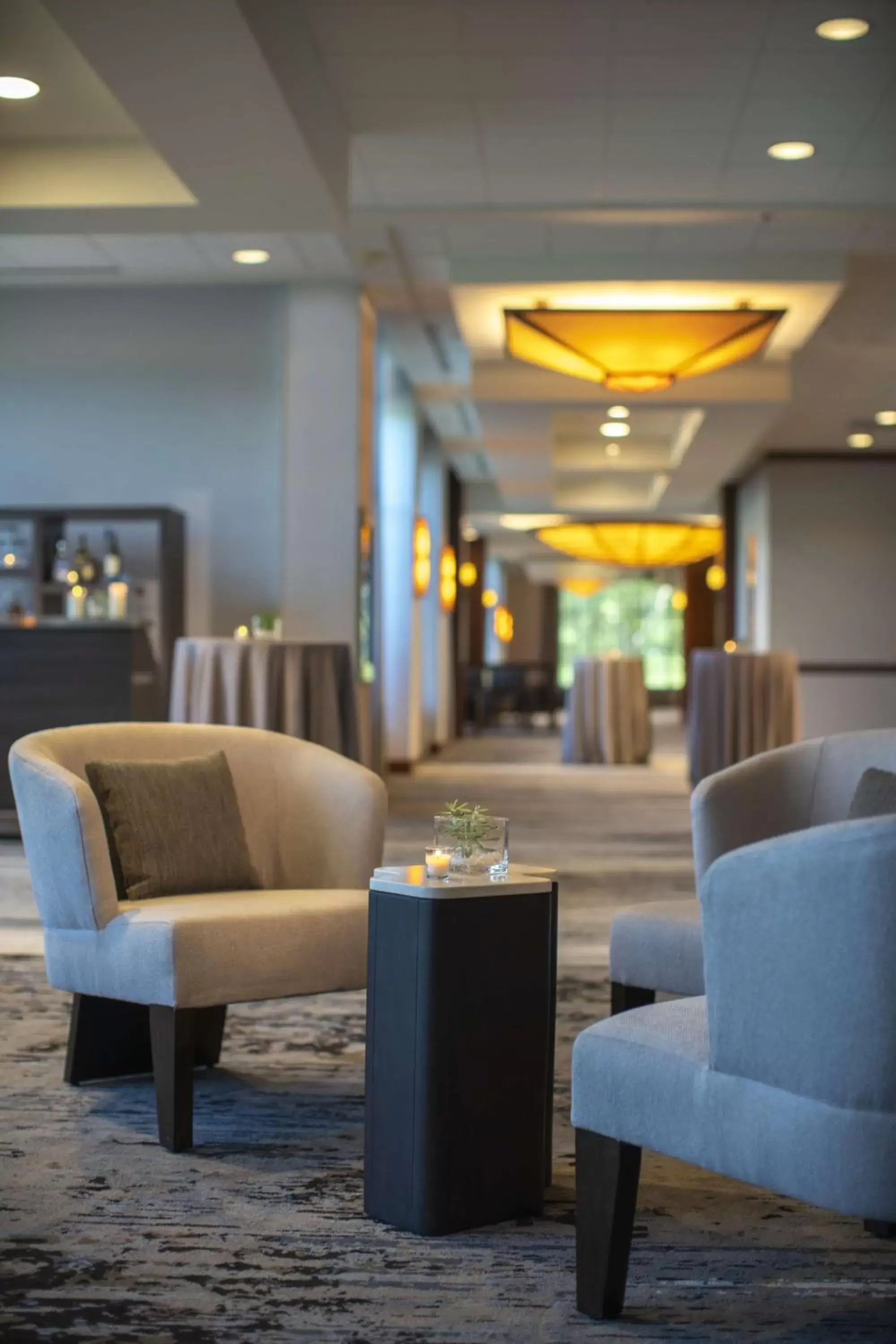 Meeting/conference room, Lounge/Bar in Hyatt Regency Coralville