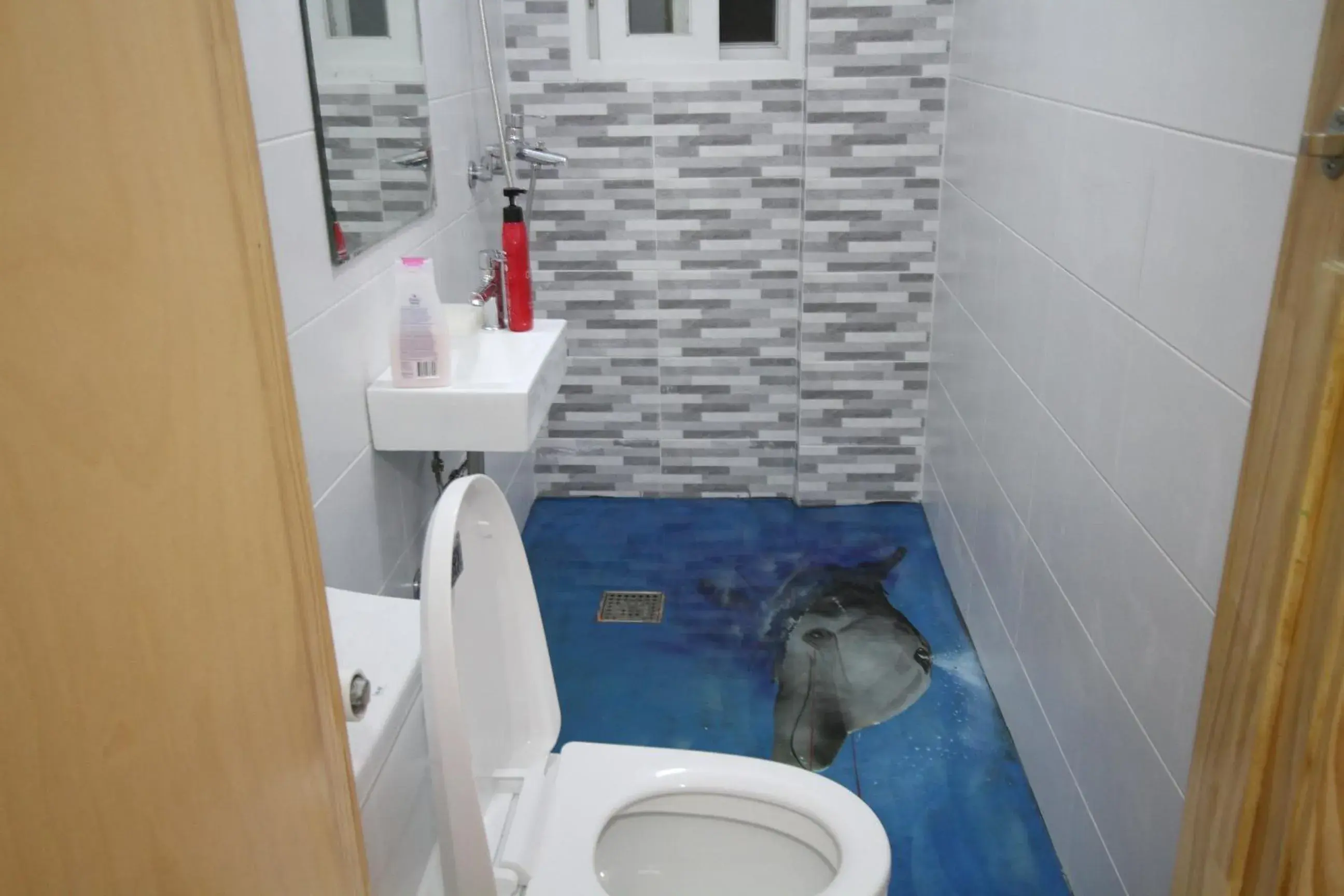 Shower, Bathroom in Time Travelers Party Hostel In Hongdae