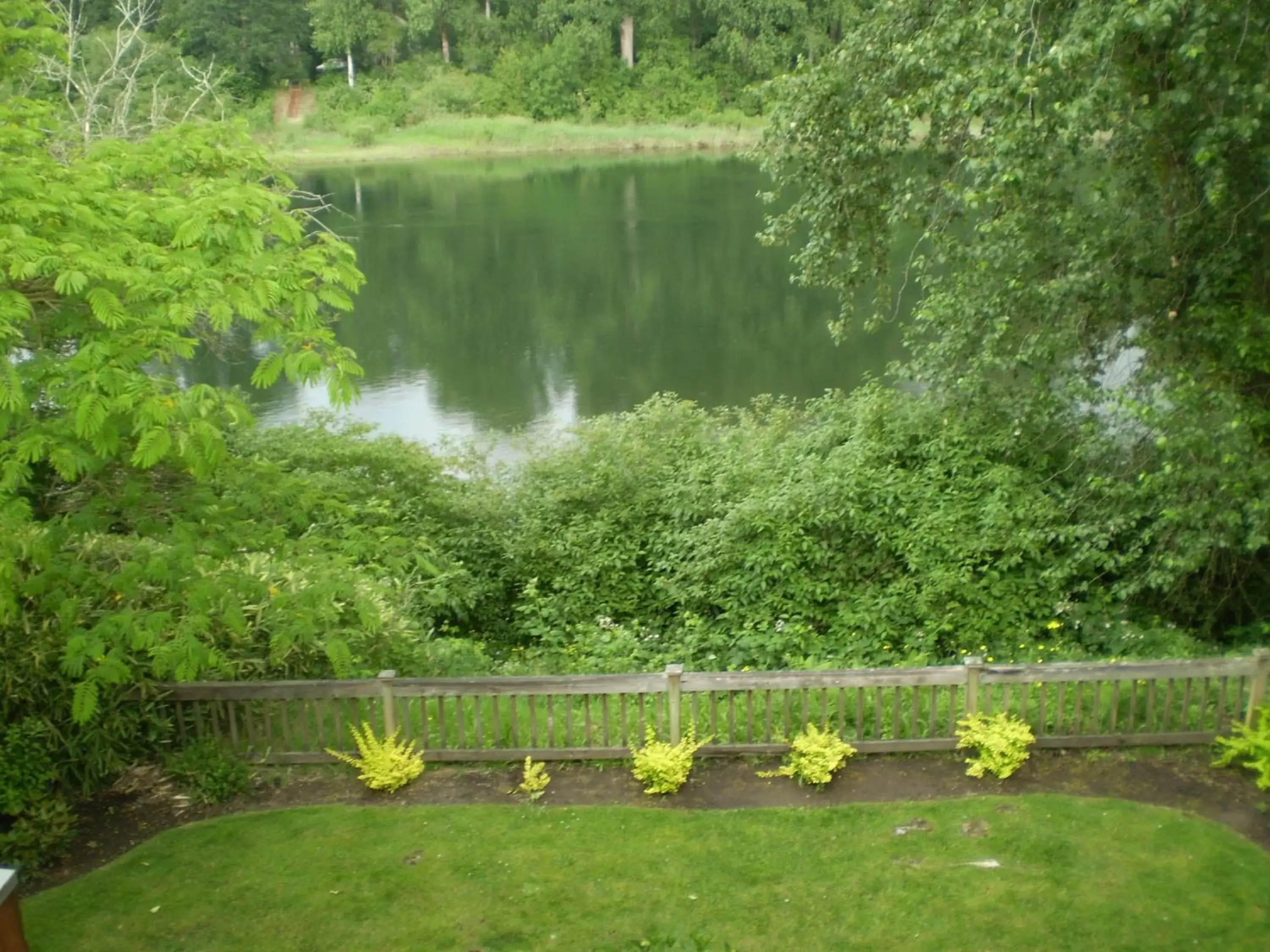 View (from property/room), Garden in Lewis River Inn