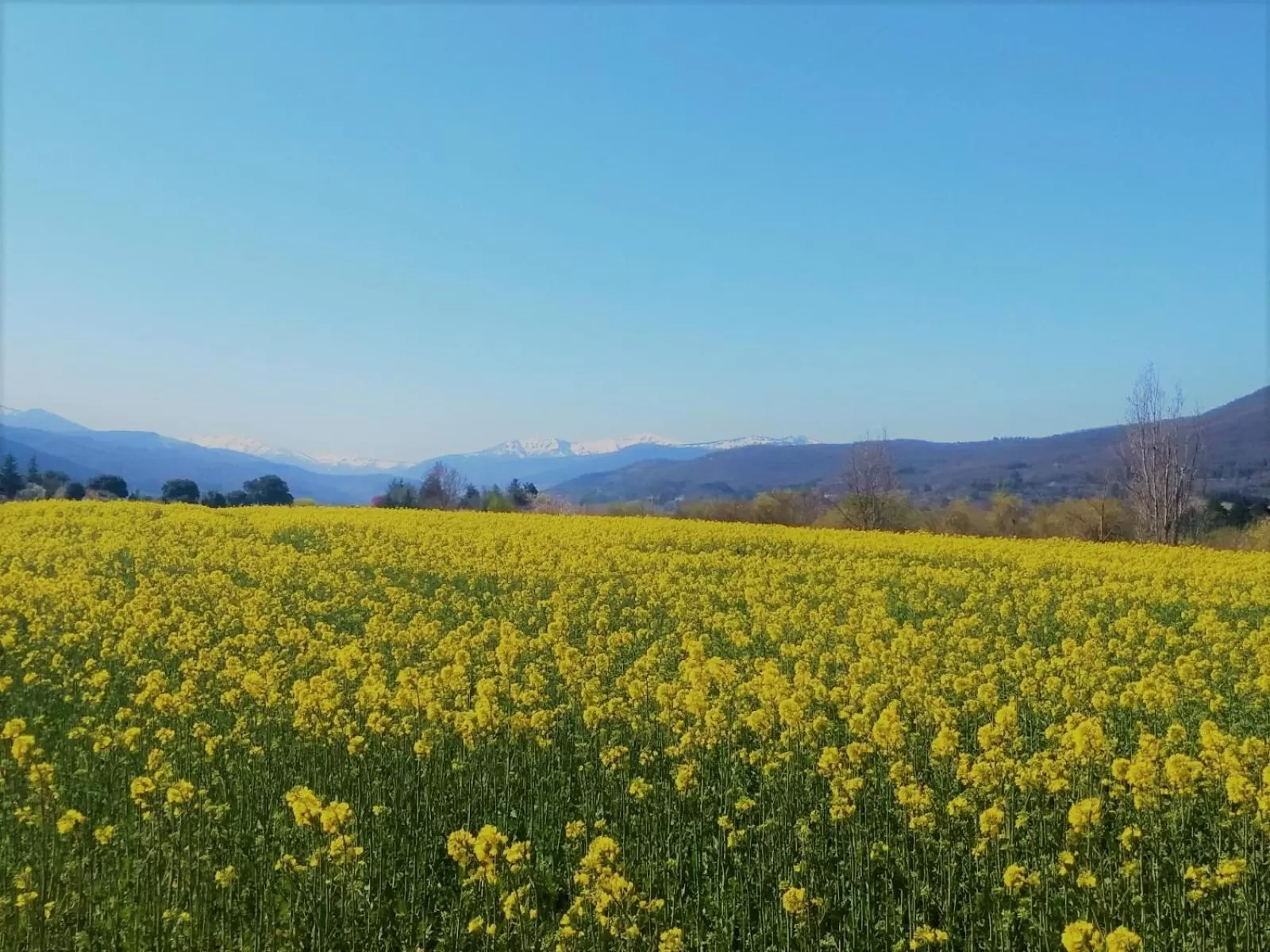 Spring in Parador de Santo Domingo de la Calzada