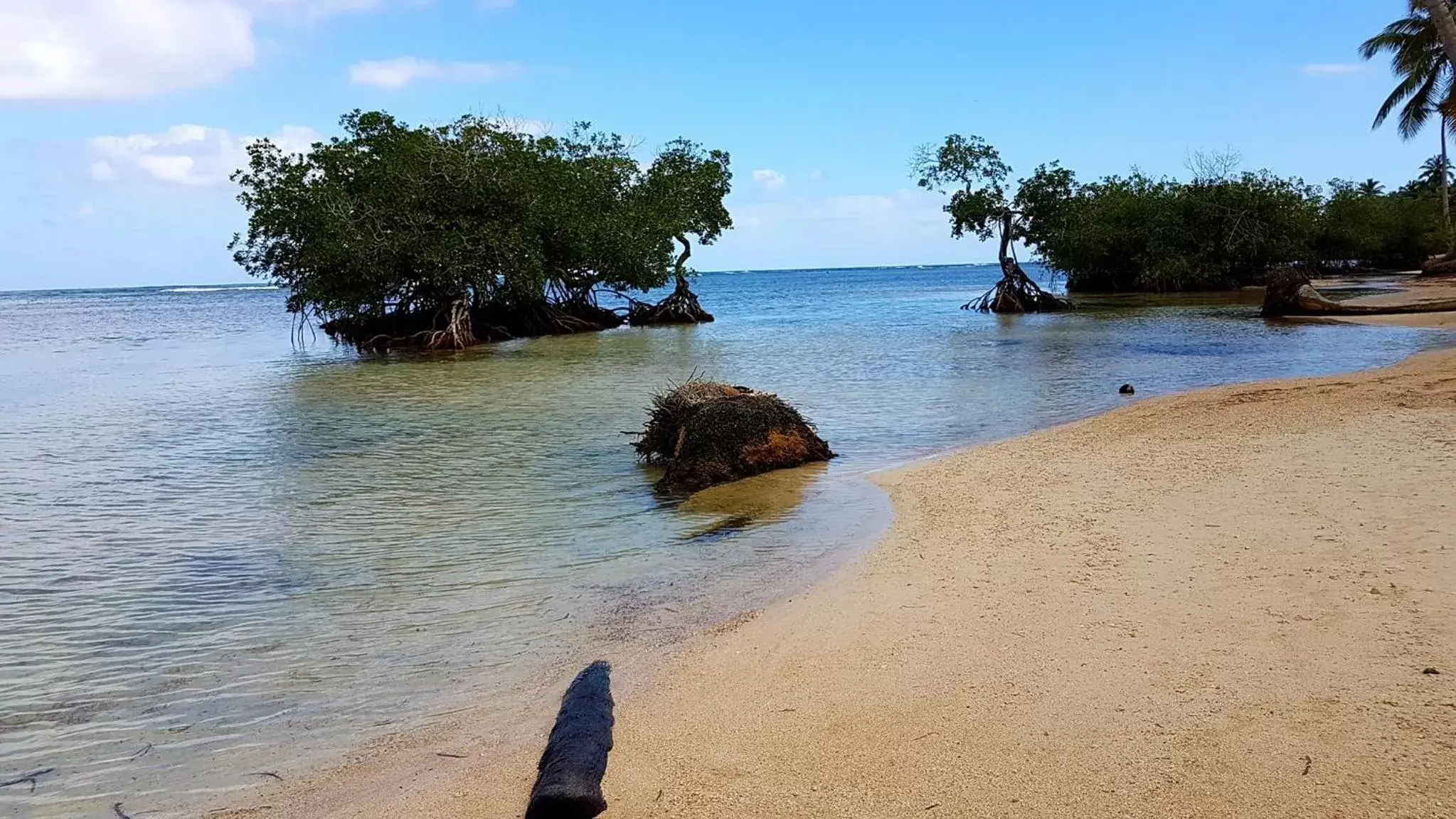 Summer, Beach in Residencia El Balatà