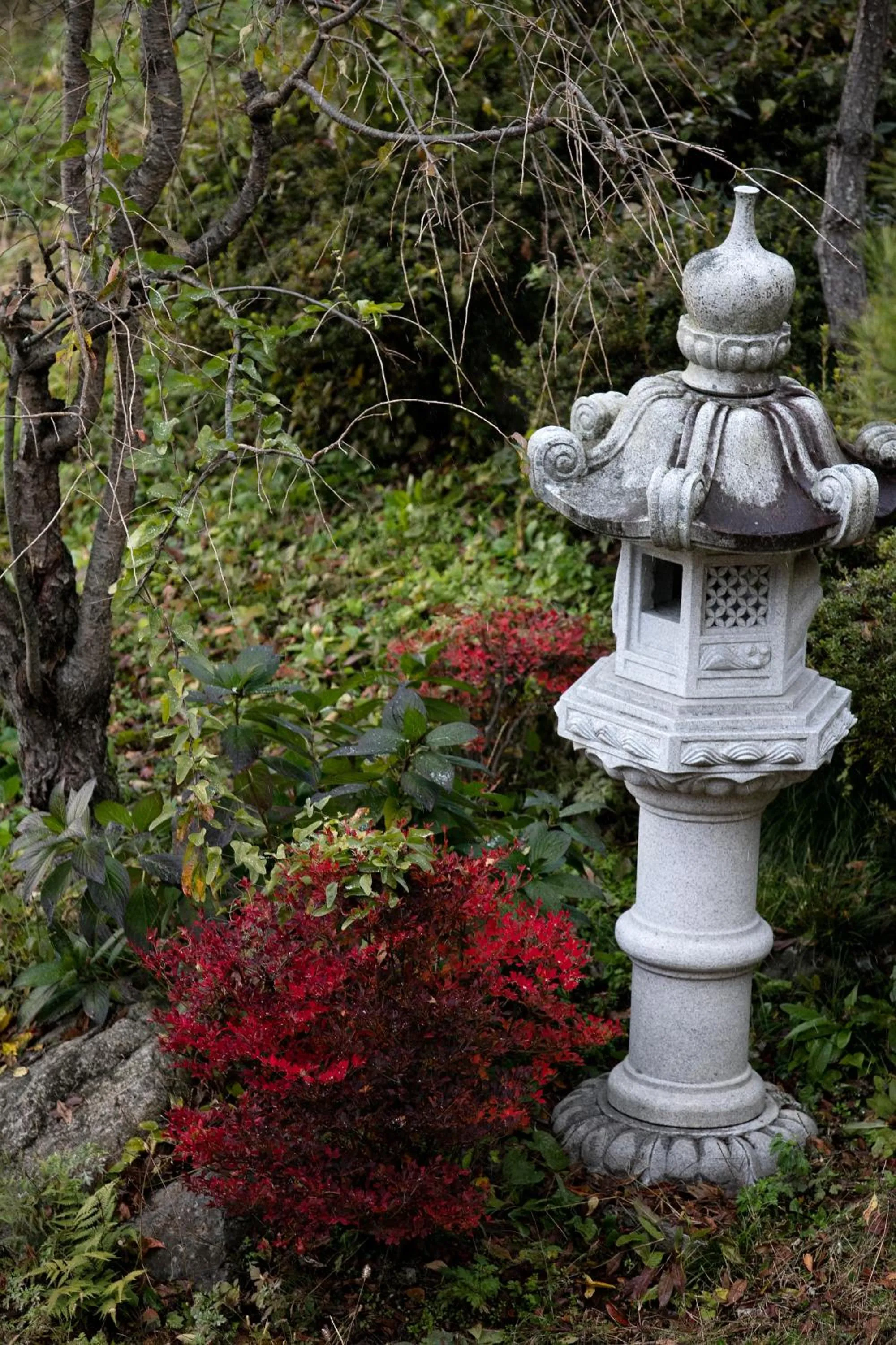 Natural landscape in Ryokan Warabino