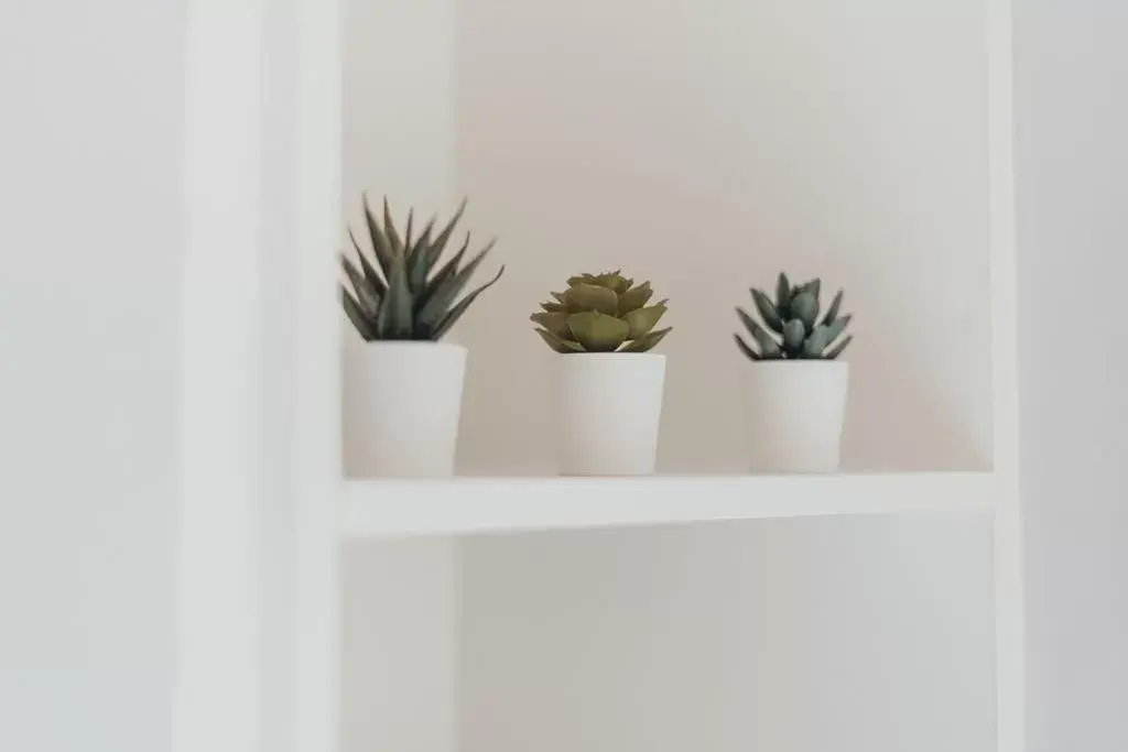 Quarter by the Warren Collection Quarter by the Warren Collection