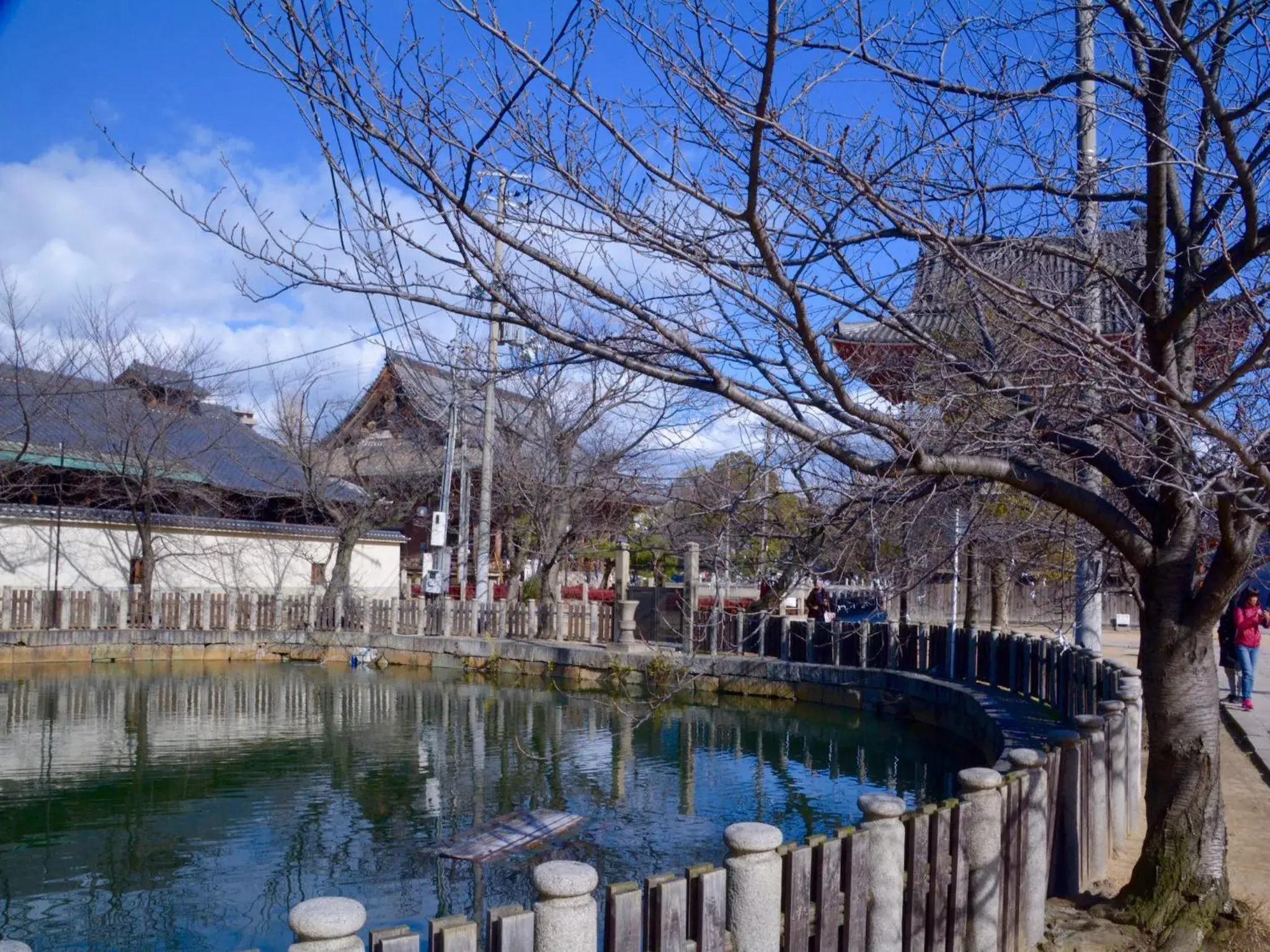 Nearby landmark, Swimming Pool in Osaka Guesthouse Nest
