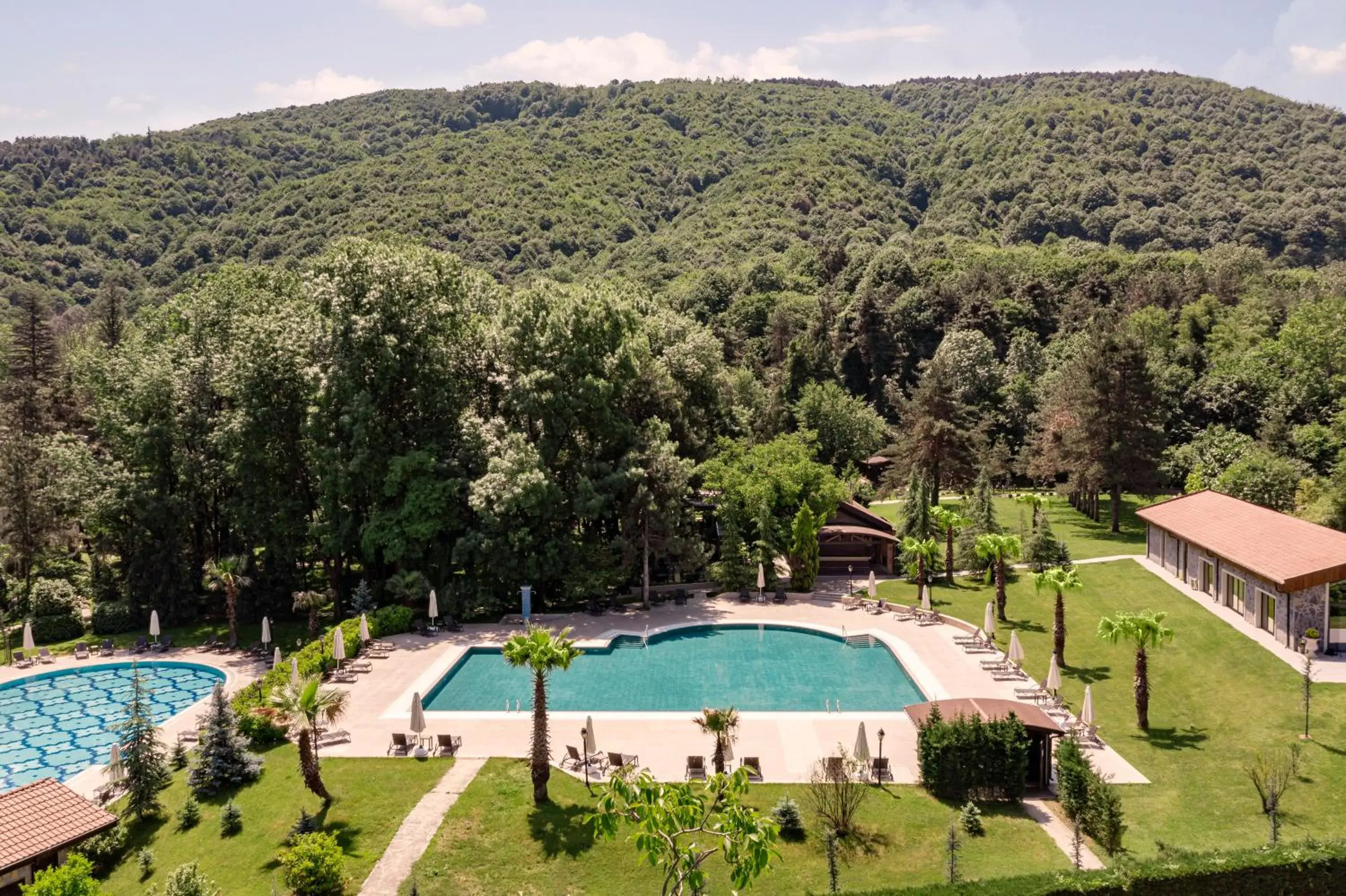 Pool View in NG Sapanca Wellness & Convention