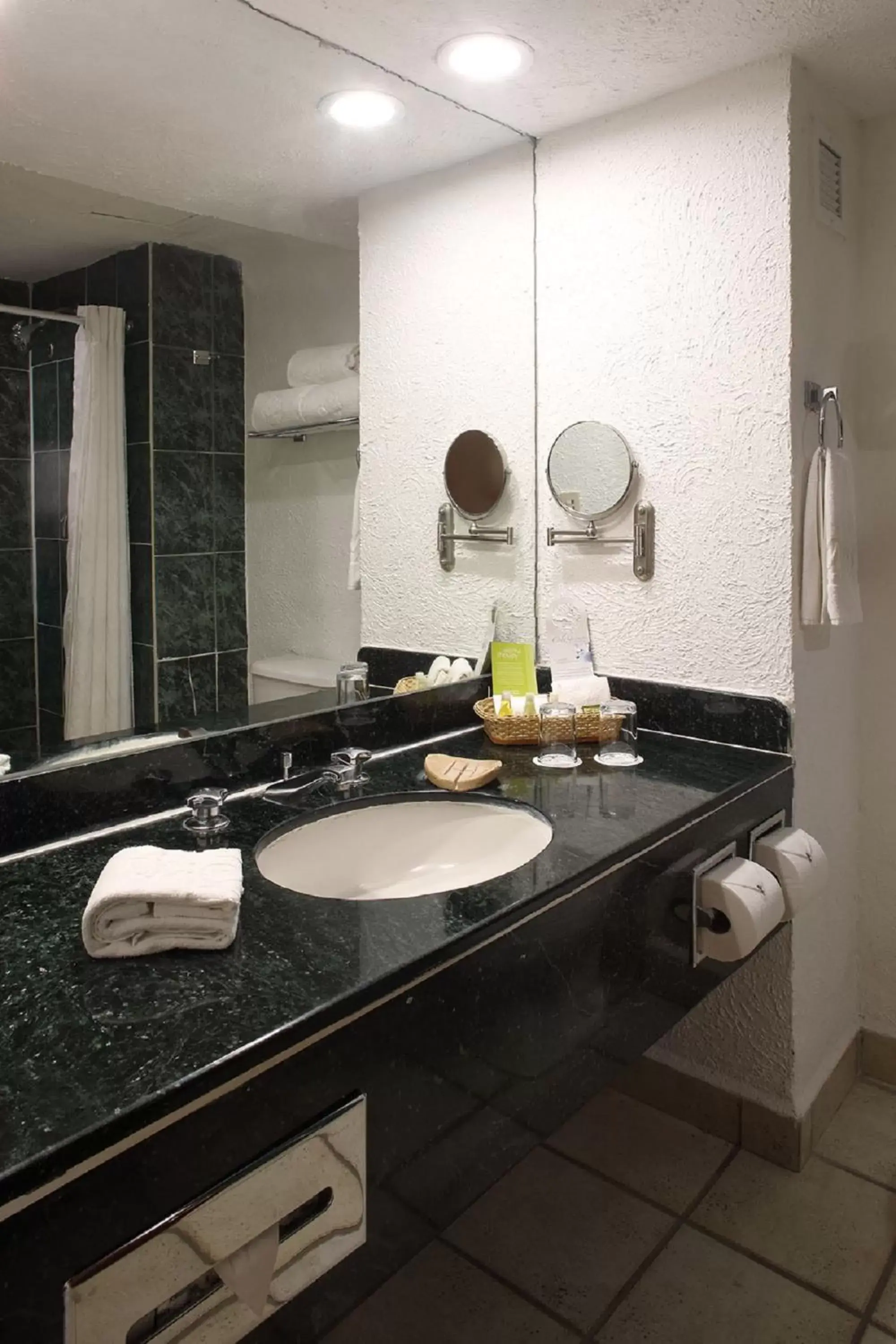 Bathroom in Emporio Ixtapa - with Optional All Inclusive Bathroom in Emporio Ixtapa - with Optional All Inclusive