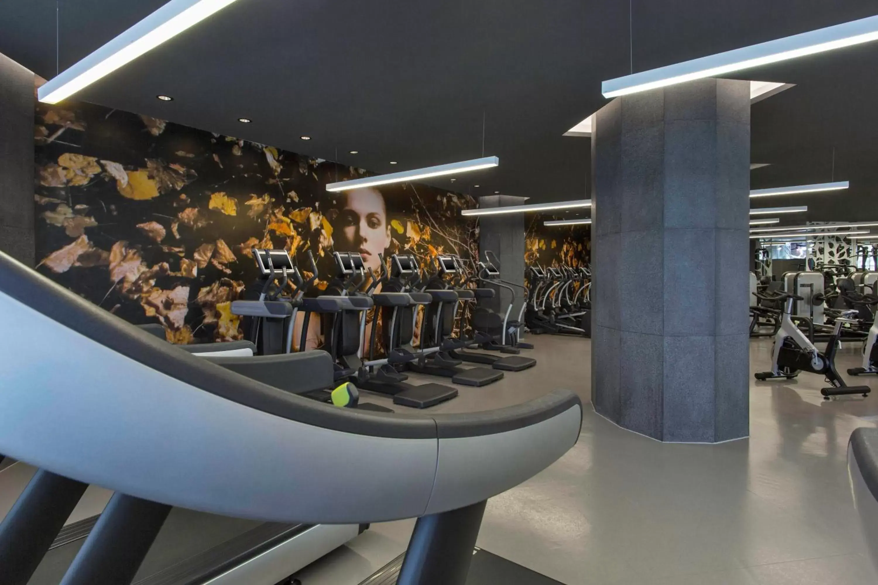 Fitness centre/facilities, Fitness Center/Facilities in W Bogota