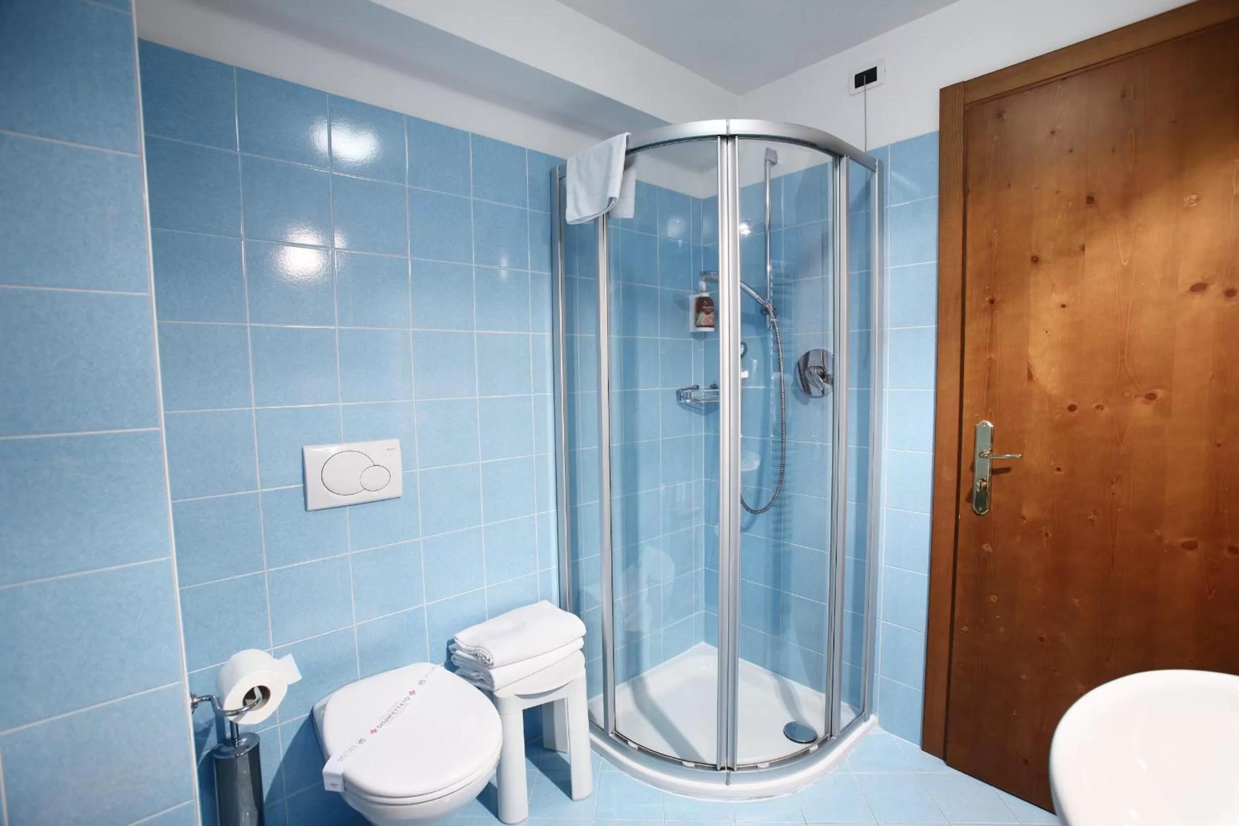 Shower in Hotel Des Alpes