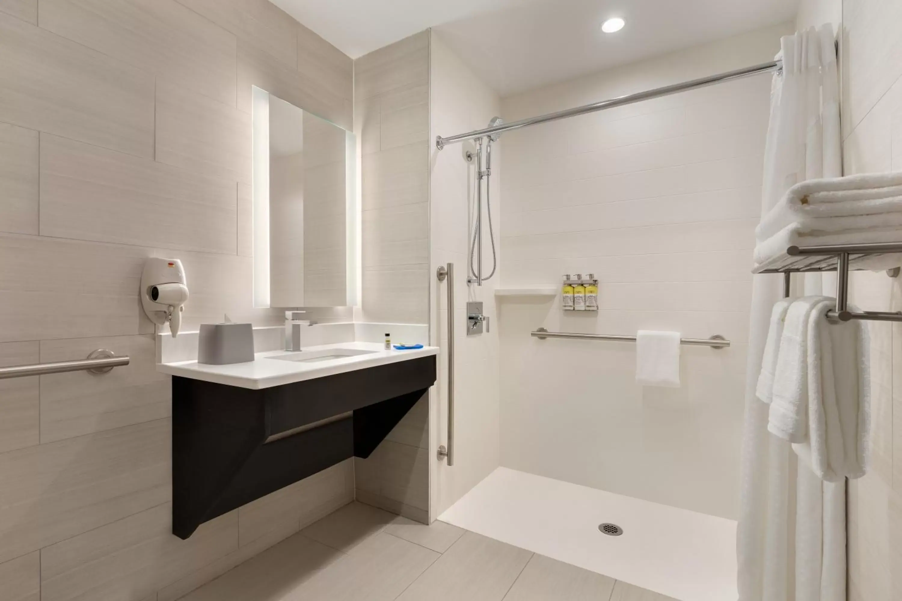 Photo of the whole room, Bathroom in Holiday Inn Express - Jamaica - JFK AirTrain - NYC, an IHG Hotel