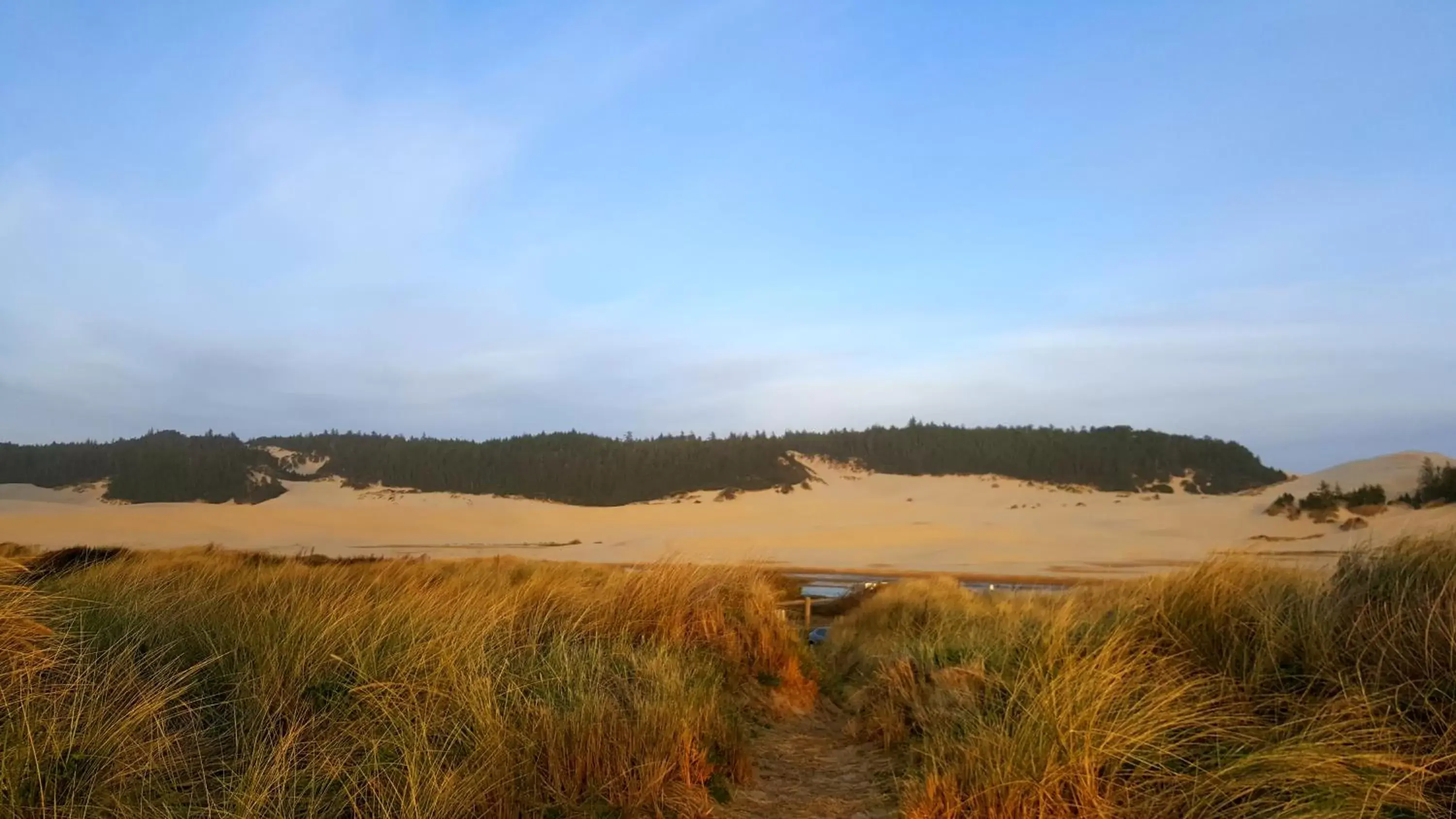 Natural Landscape in Winchester Bay Inn