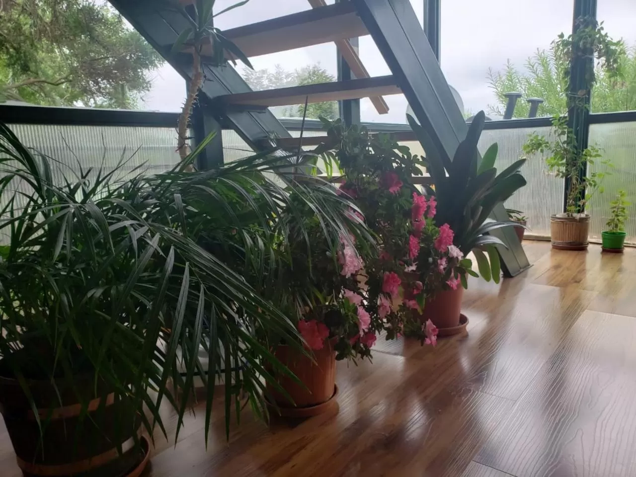 Natural landscape in Tango B&B