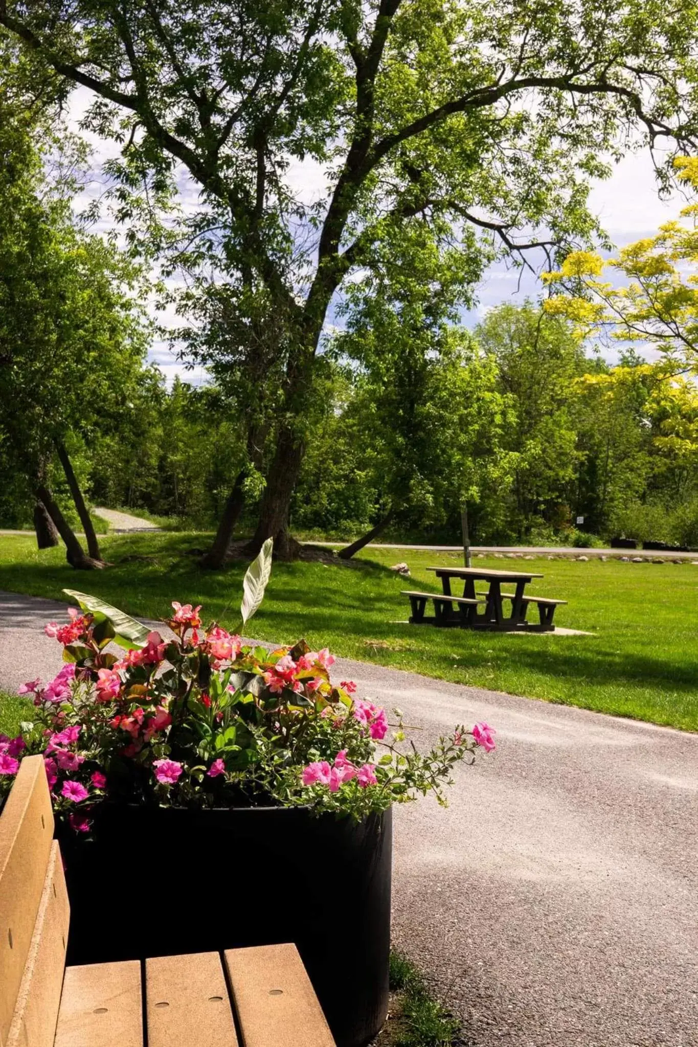 Garden in Condo Hotel Au pied du Mont Orford