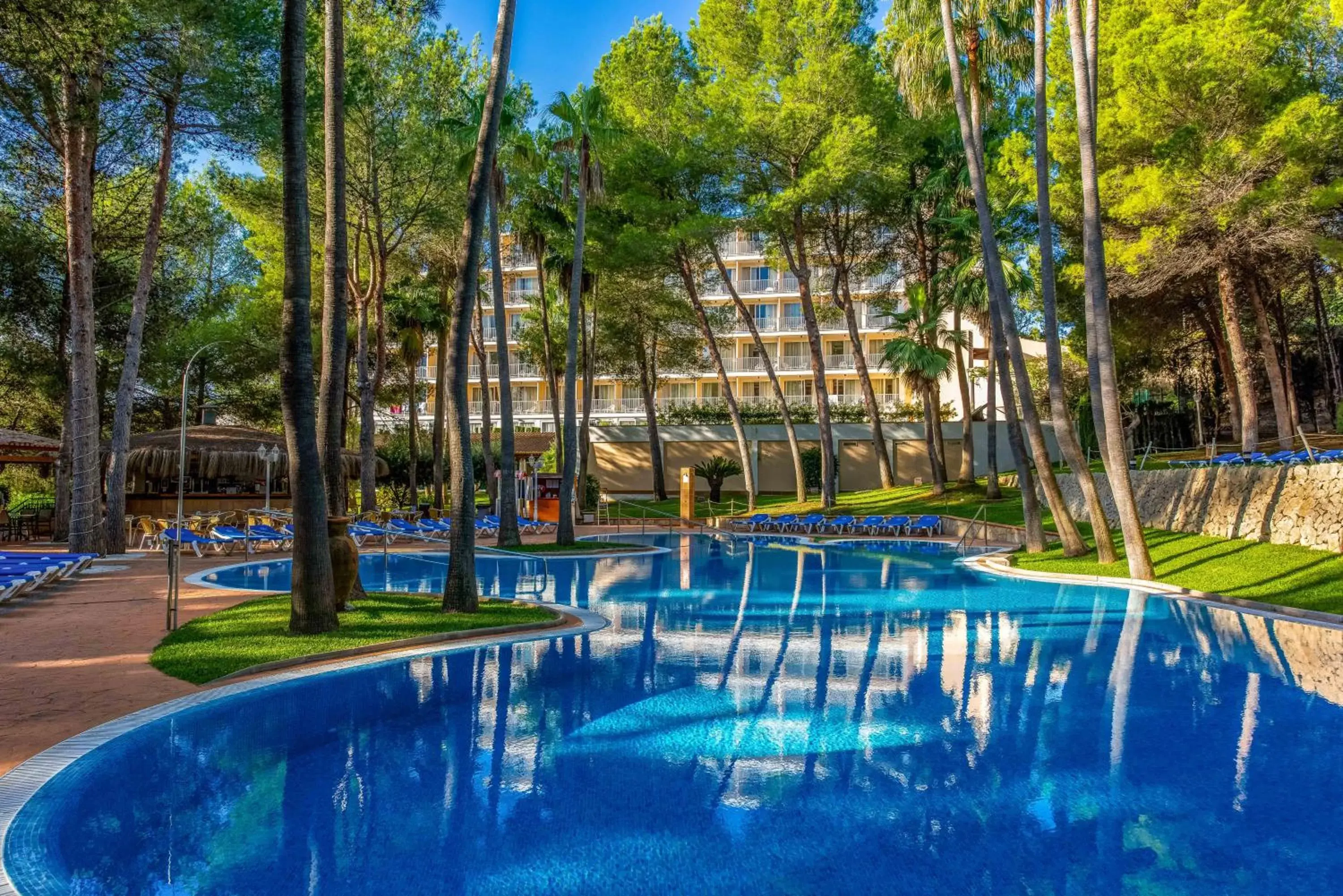 Swimming Pool in Valentin Park Club