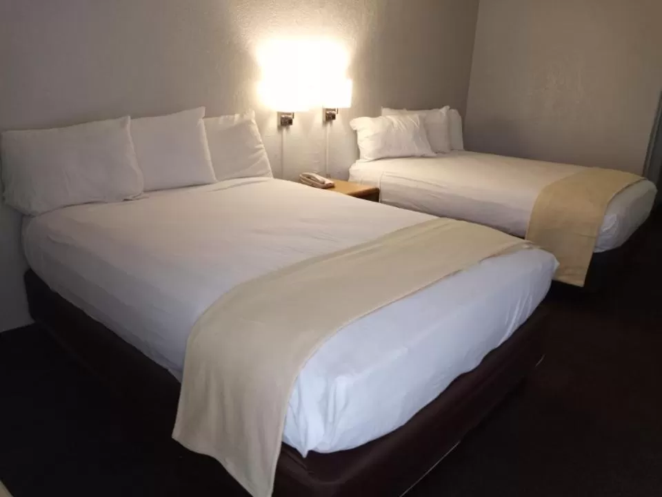 Bed in EZ 8 Motel San Jose I