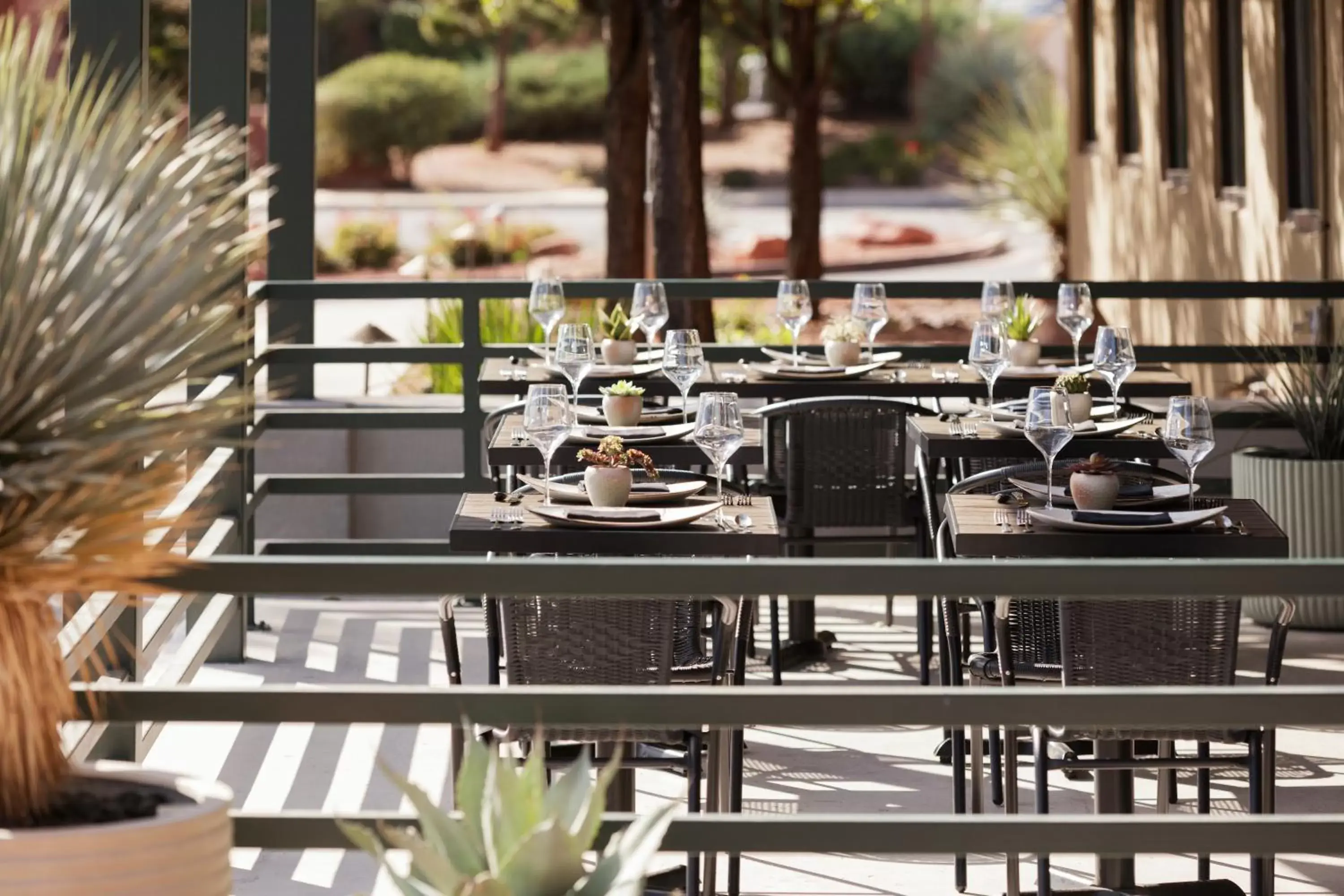 Restaurant/places to eat in The Wilde Resort and Spa Restaurant/places to eat in The Wilde Resort and Spa