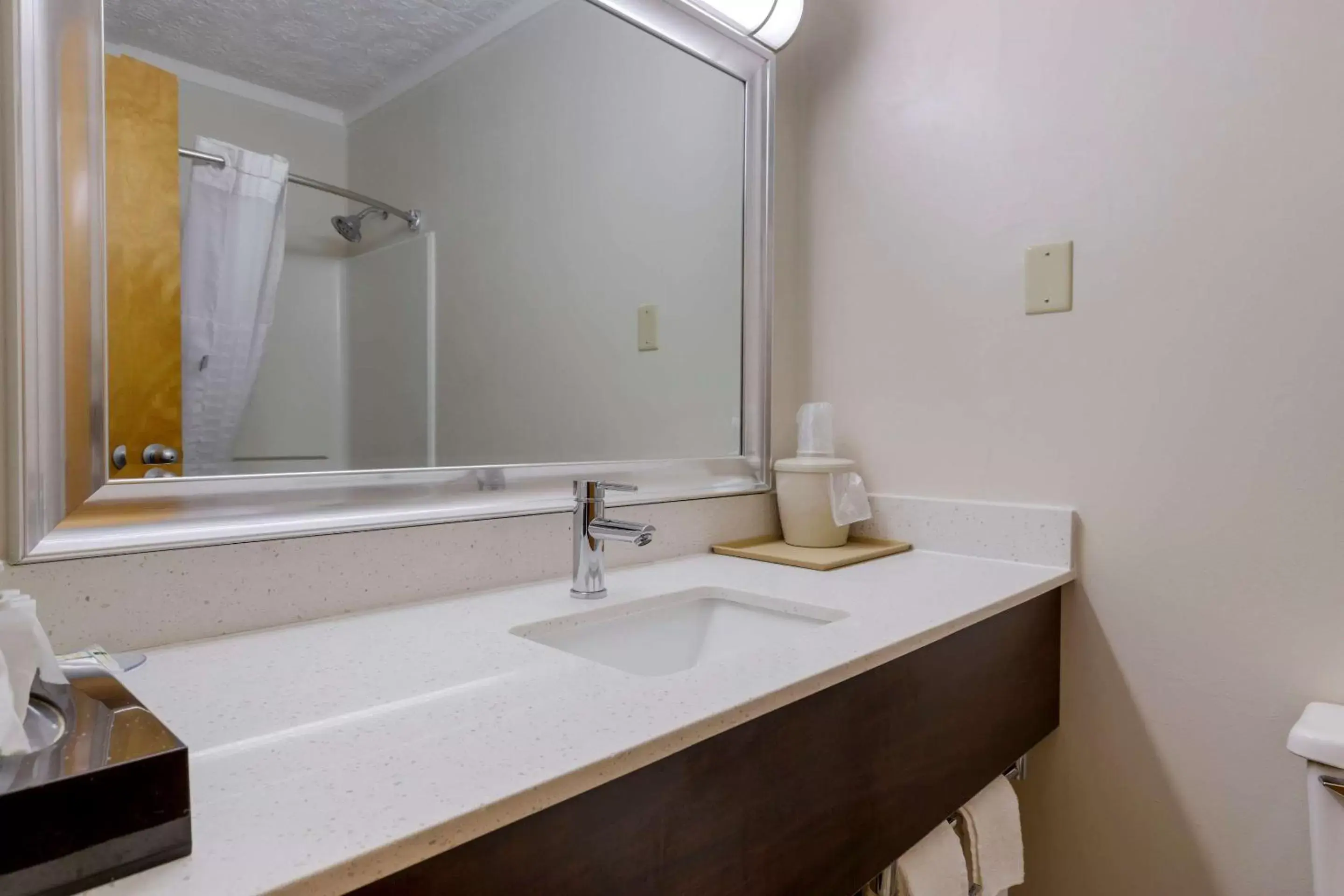 Bathroom in Quality Inn - Roxboro South