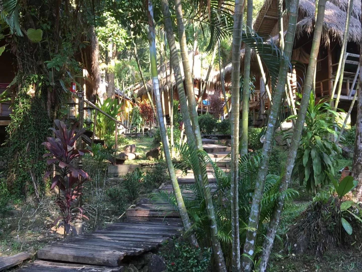 Day, Garden in LITTLE EDEN Bungalows