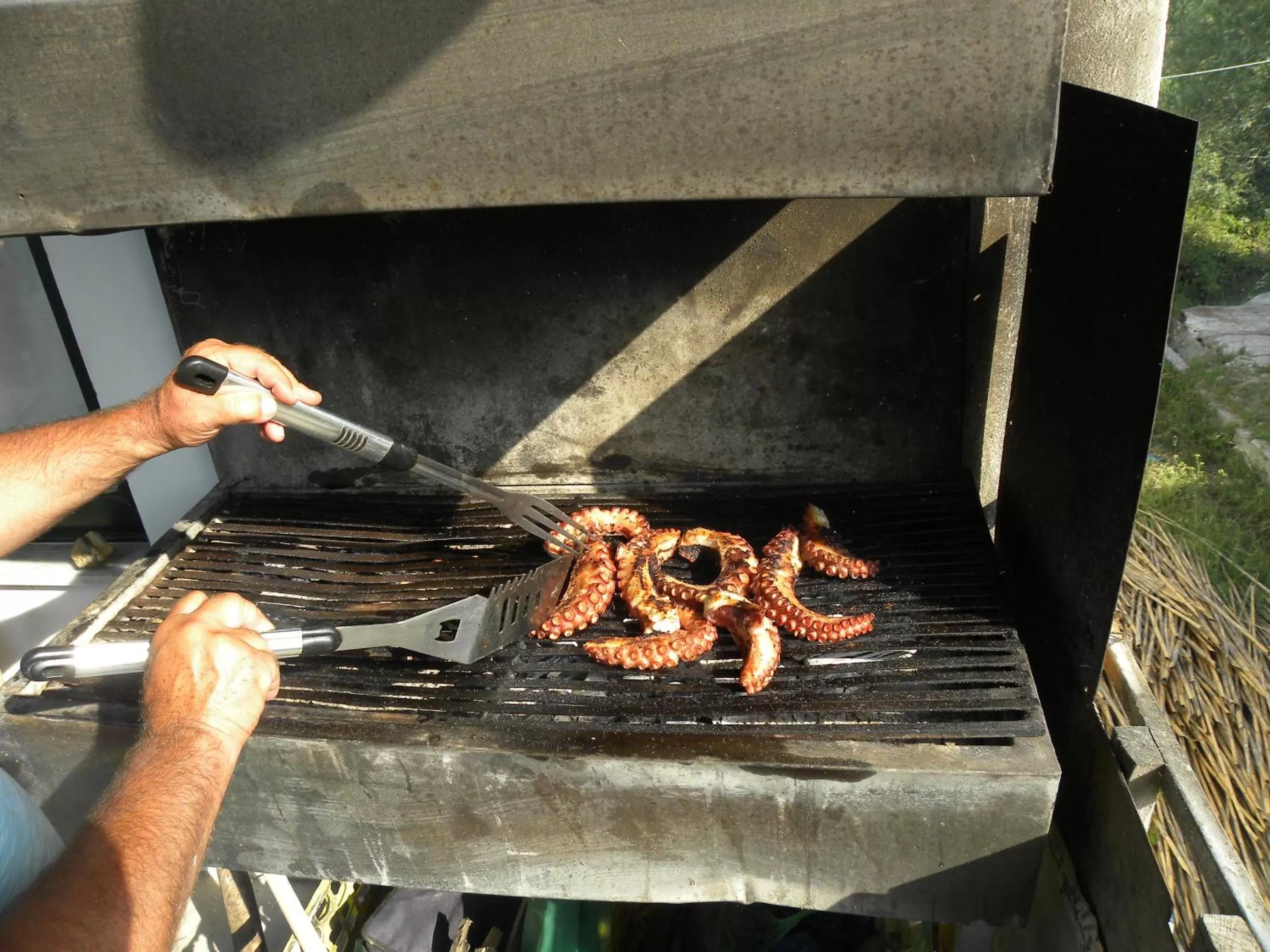 Food close-up in Maxola's Dream Orikum
