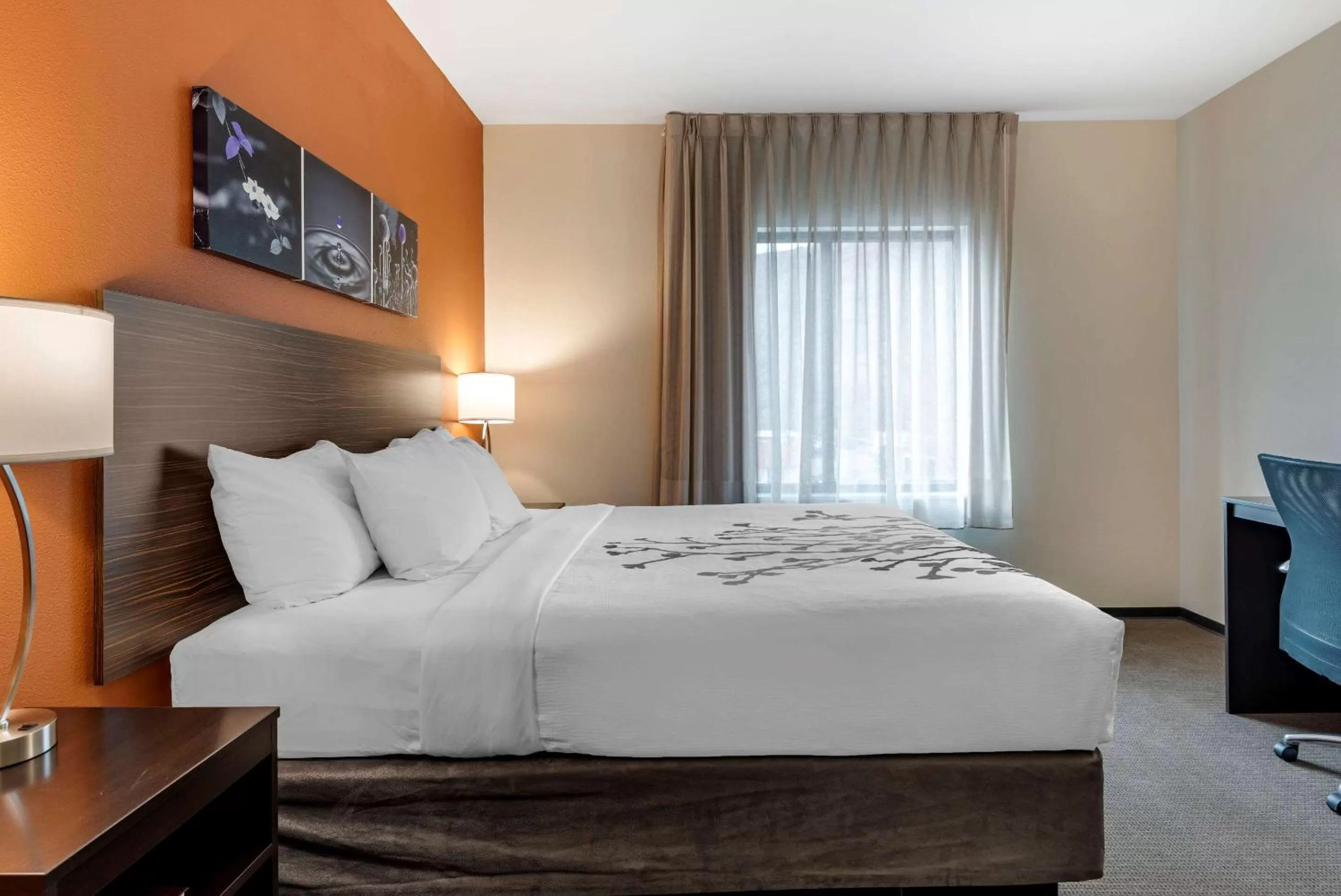 Photo of the whole room, Bed in Sleep Inn & Suites Moab near Arches National Park