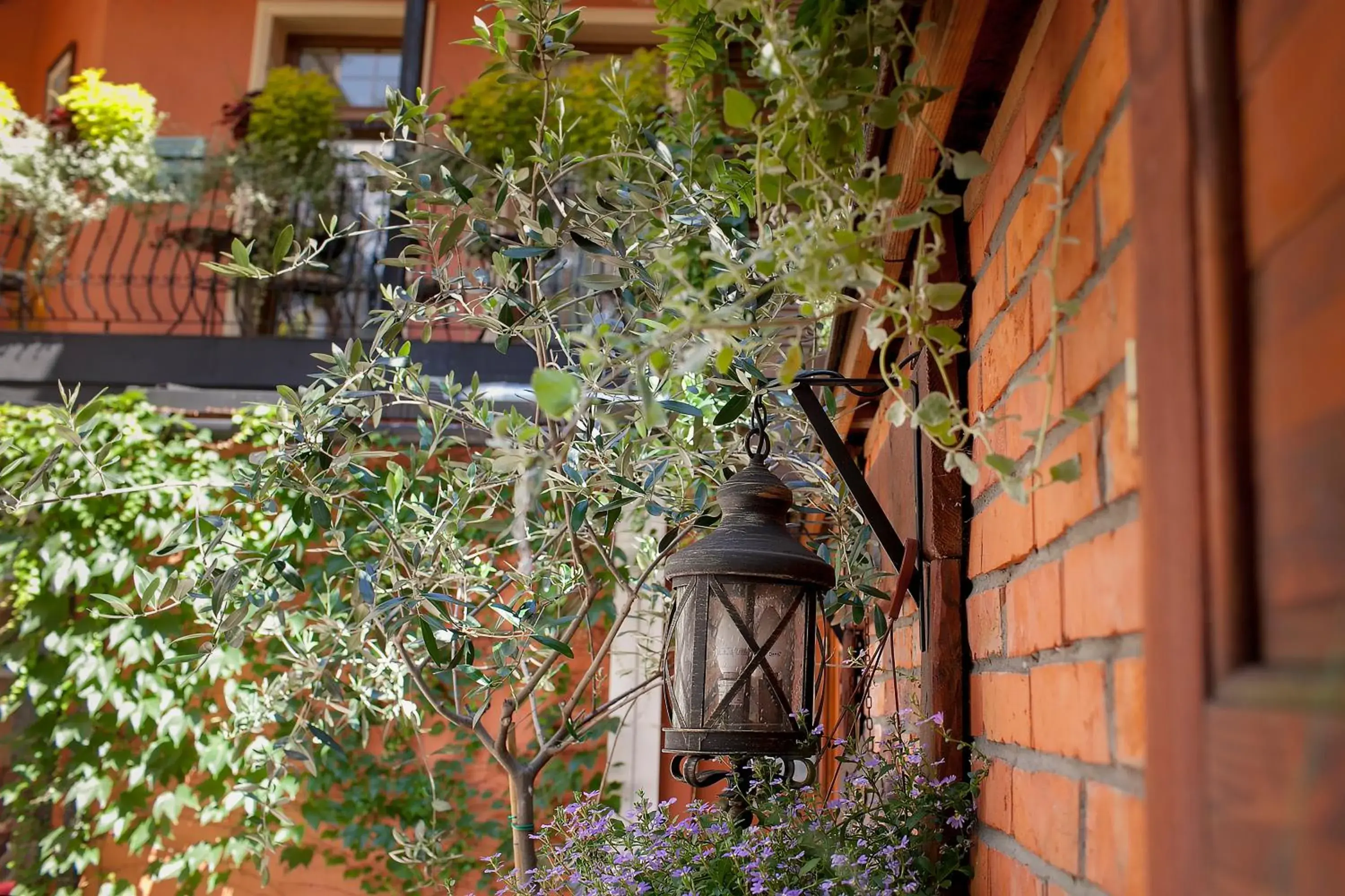 Restaurant/places to eat in Aparthotel Oberża Restaurant/places to eat in Aparthotel Oberża