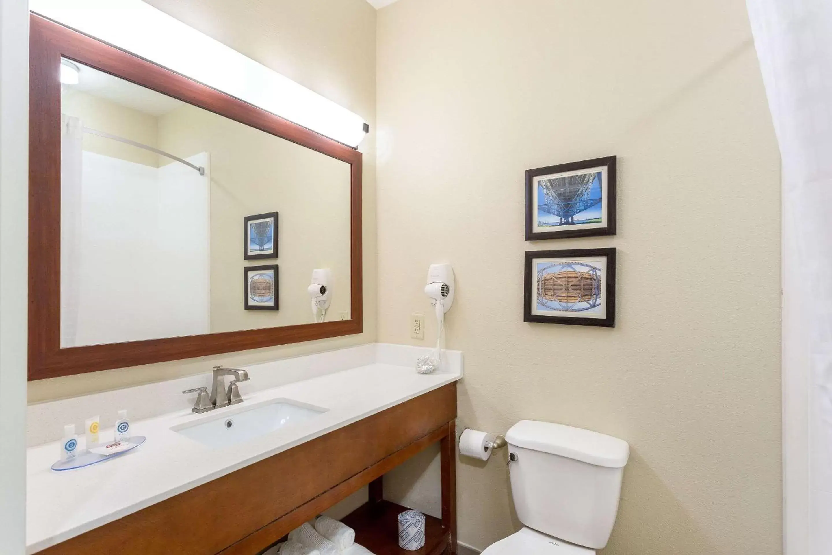 Bathroom in Comfort Inn & Suites Baton Rouge Airport