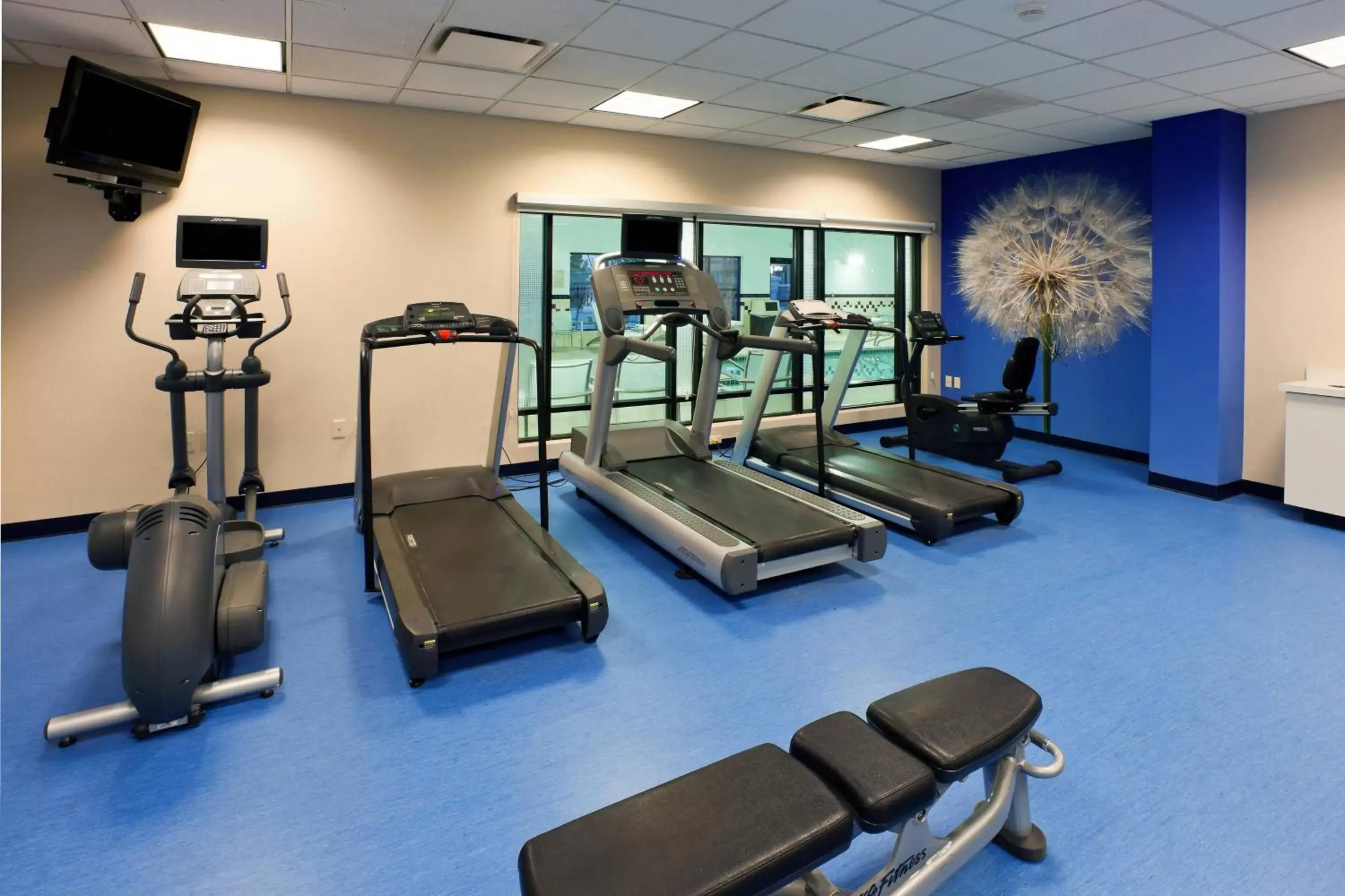 Fitness centre/facilities, Fitness Center/Facilities in SpringHill Suites Denver North / Westminster