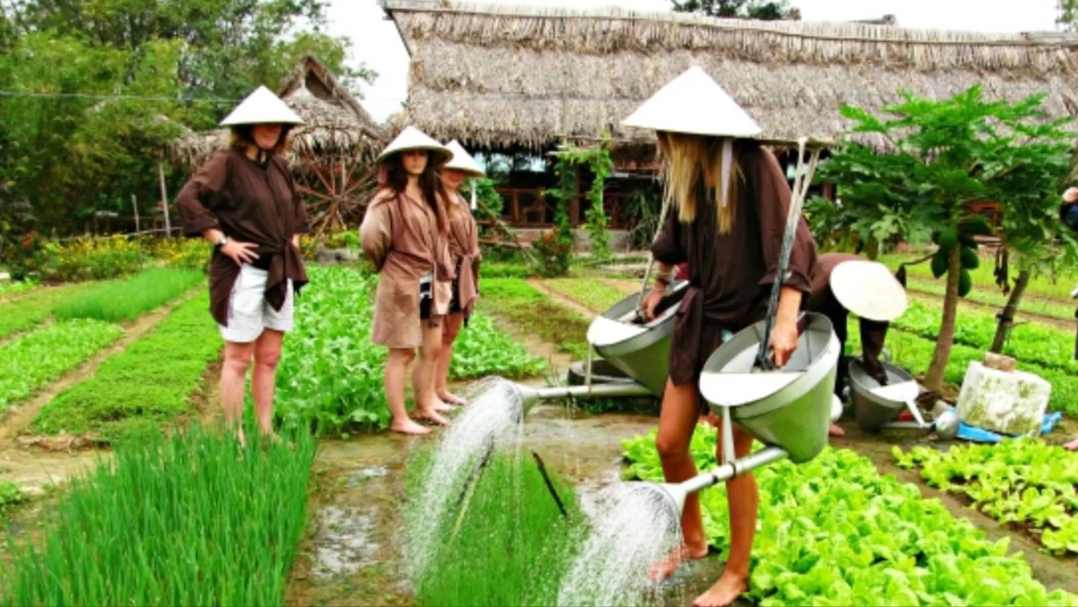 Entertainment in Hoi An Discovery Villa