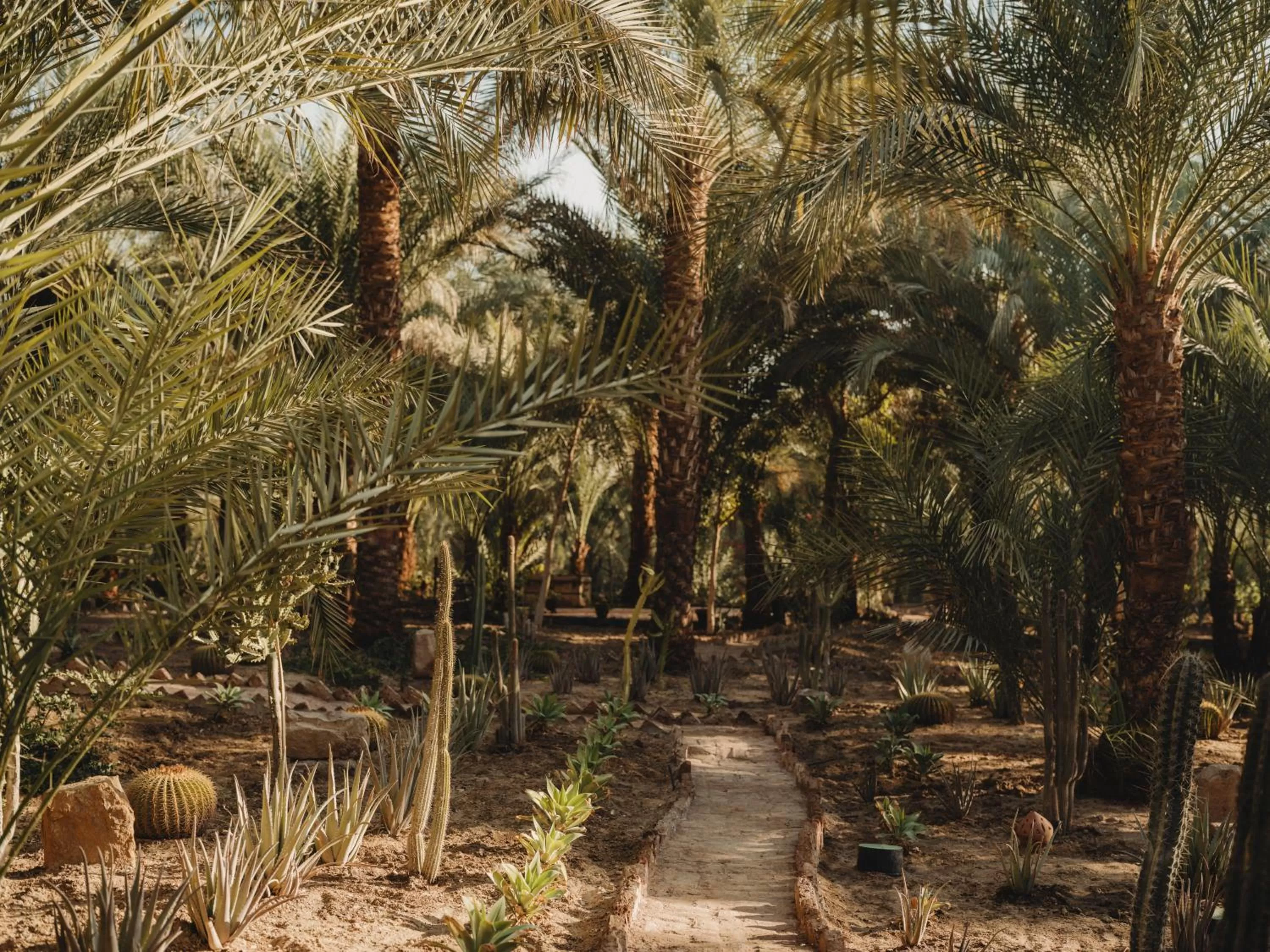 Natural landscape in Al Moudira Hotel