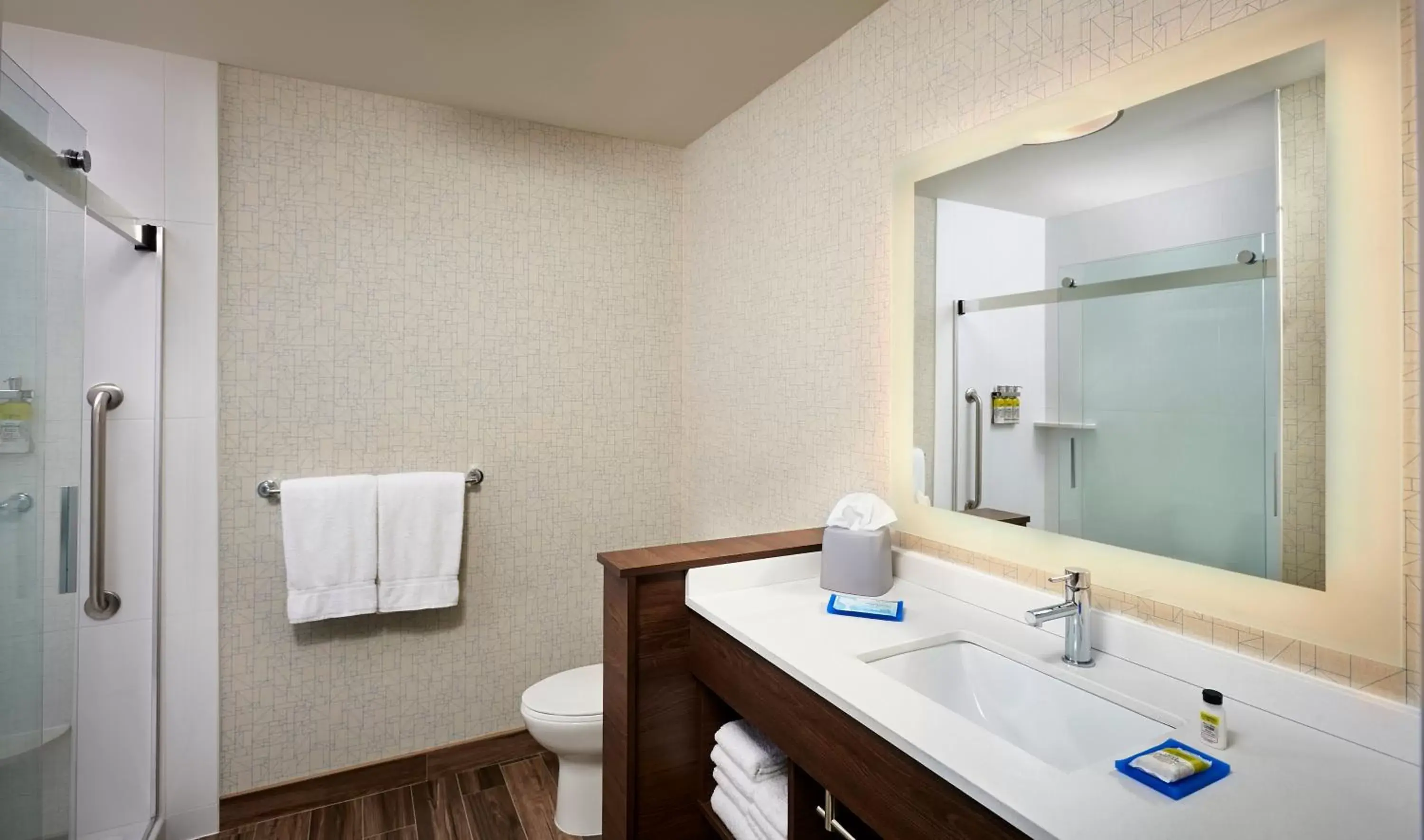 Shower, Bathroom in Holiday Inn Express & Suites - Brantford, an IHG Hotel