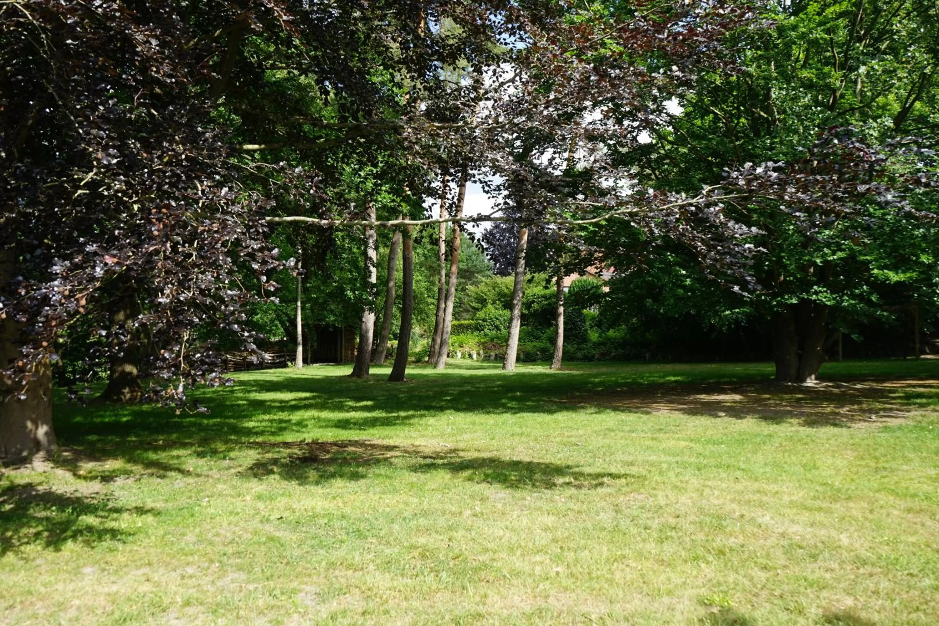 Garden in Niedersachsen Hof