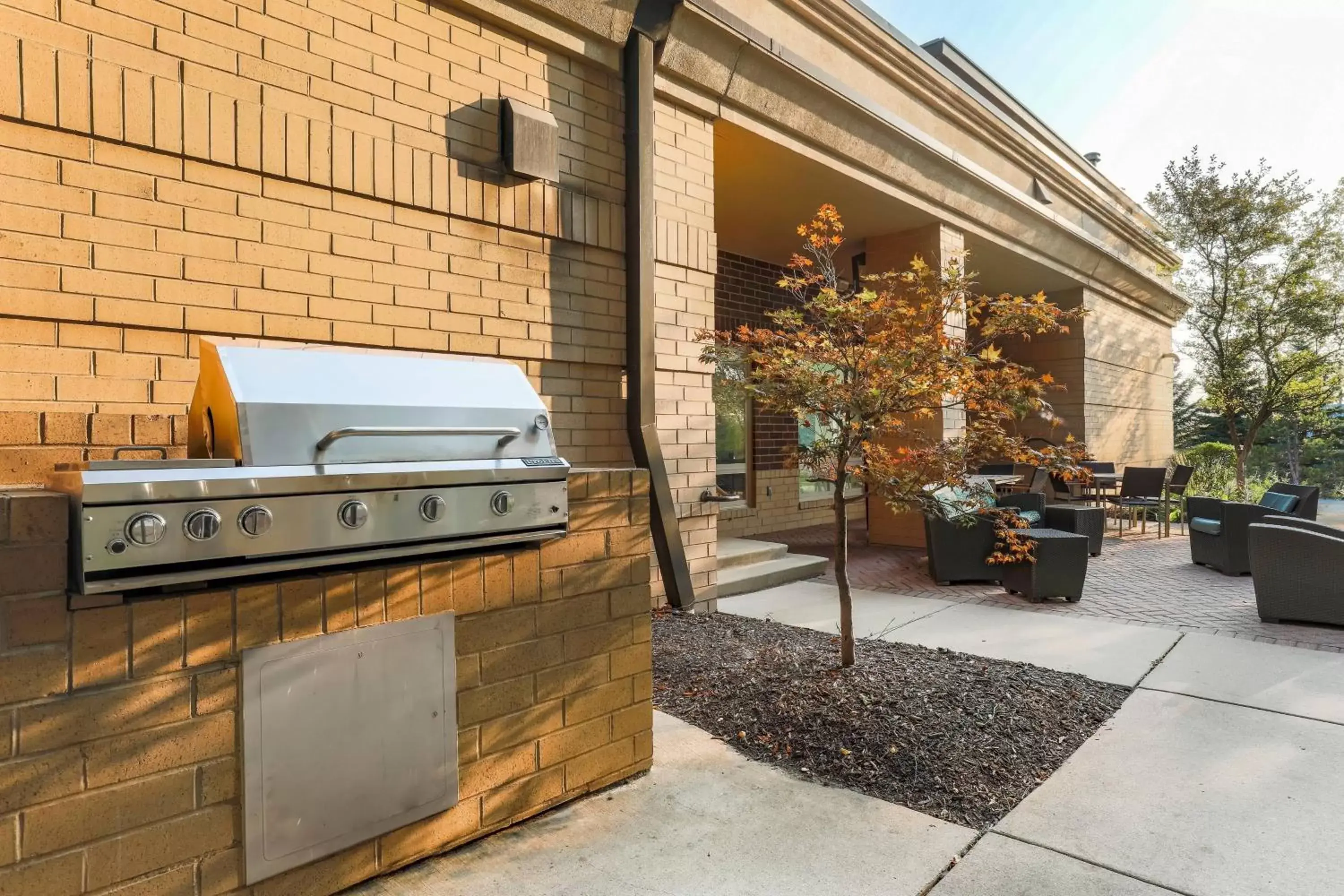 Restaurant/places to eat, BBQ Facilities in Residence Inn by Marriott Chicago Naperville/Warrenville