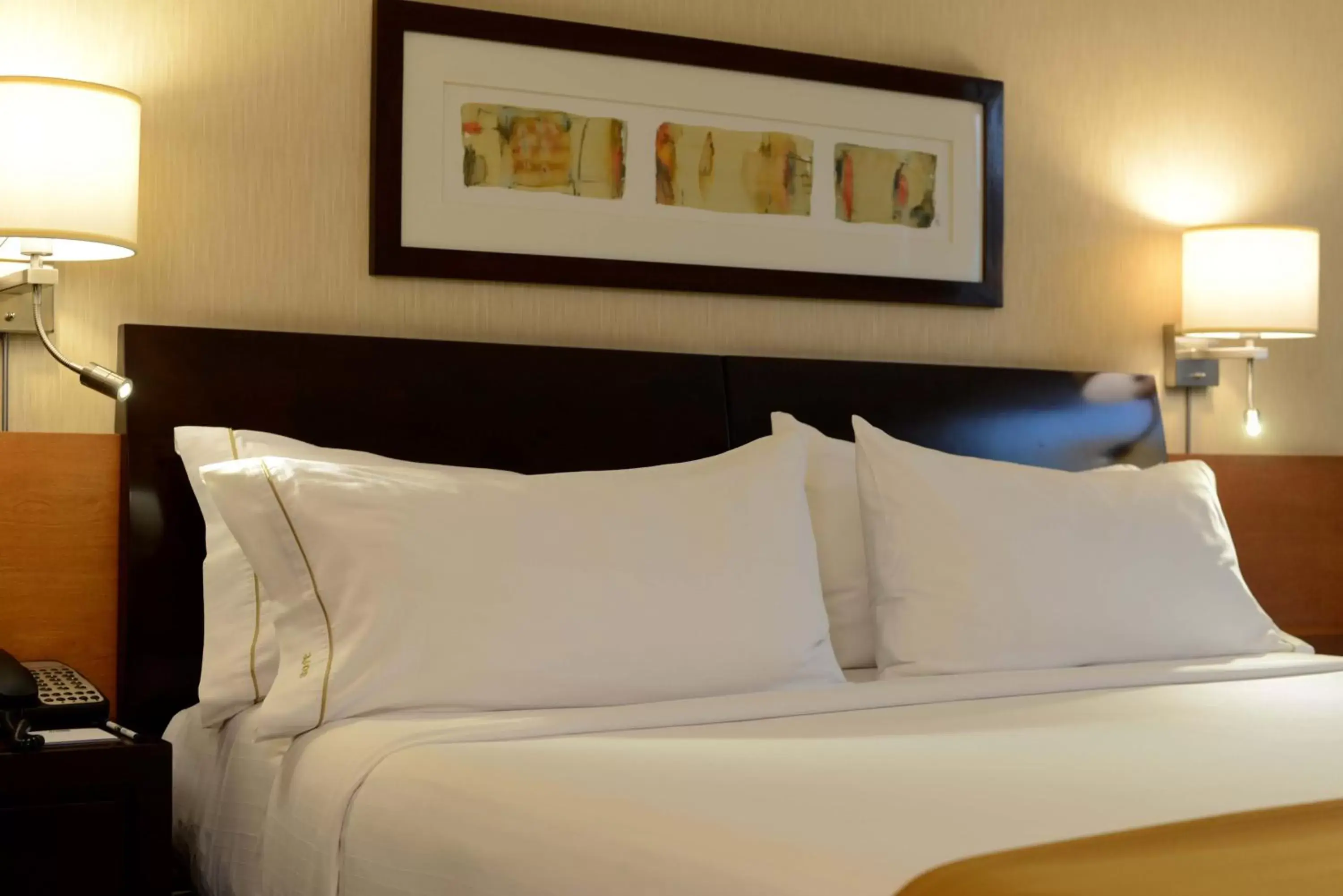 Bedroom, Bed in Holiday Inn Express Santiago Las Condes, an IHG Hotel