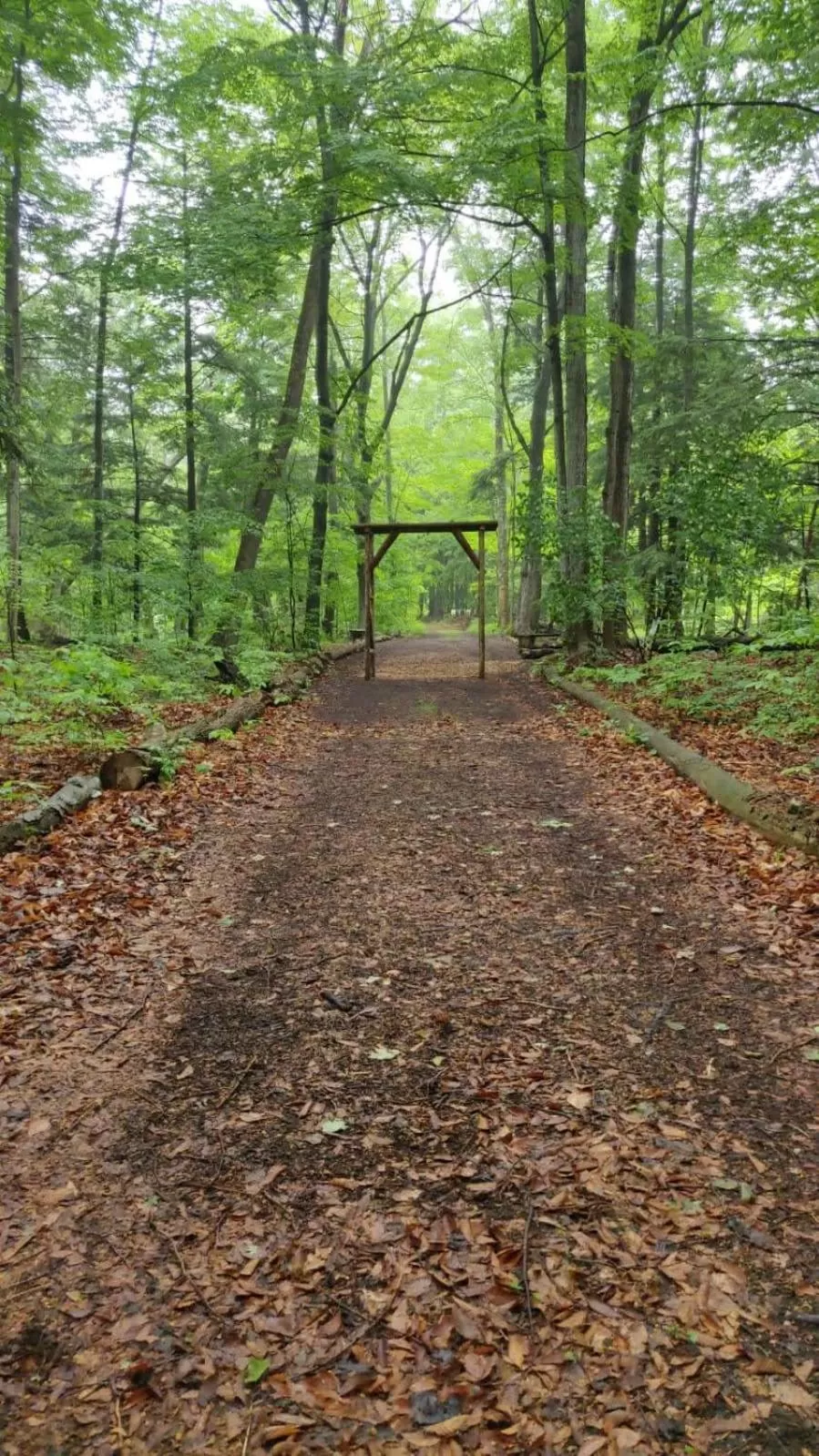 Property building in THE ASHWOOD INN