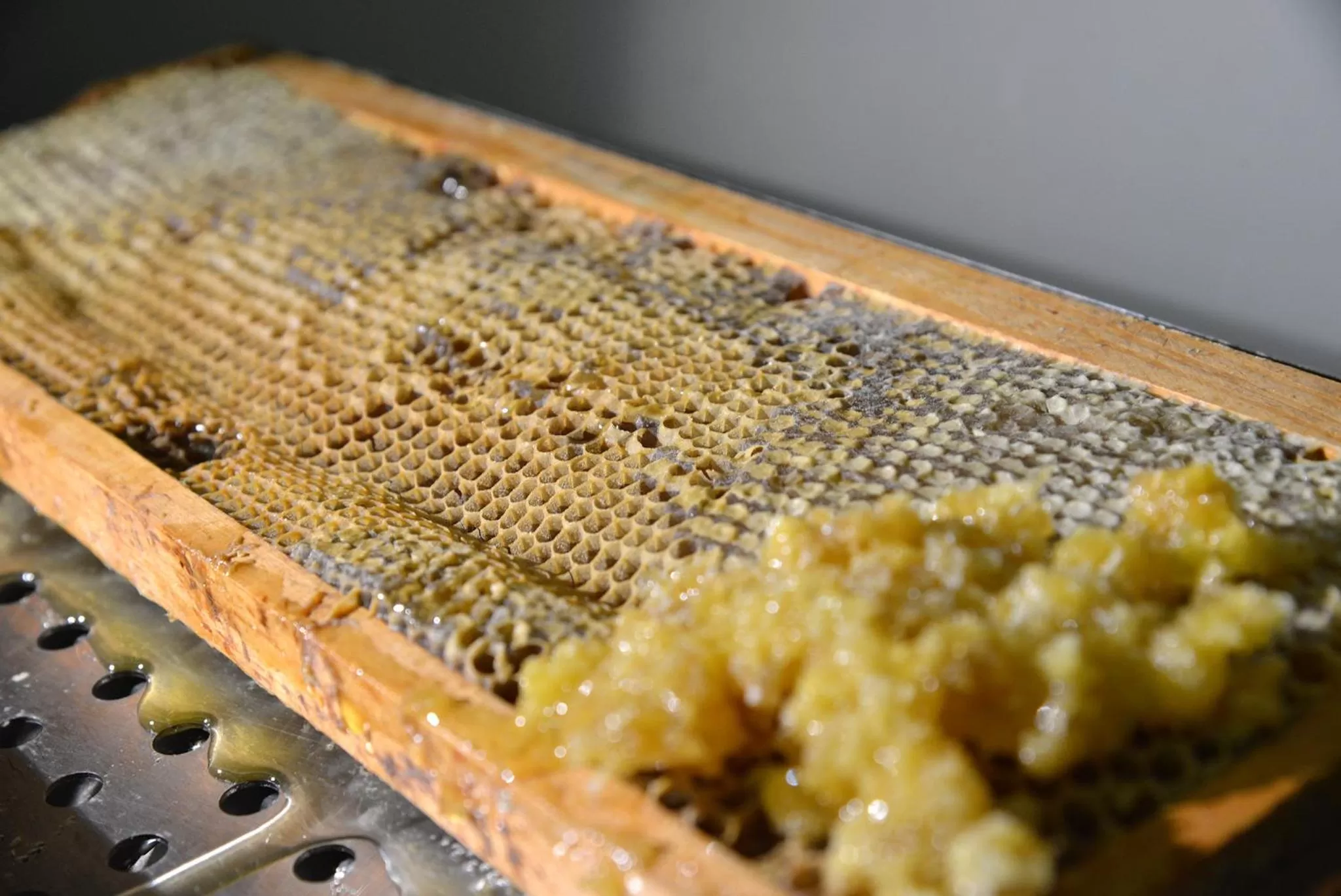 Food close-up in Rosslyn Central Park Hotel Sofia