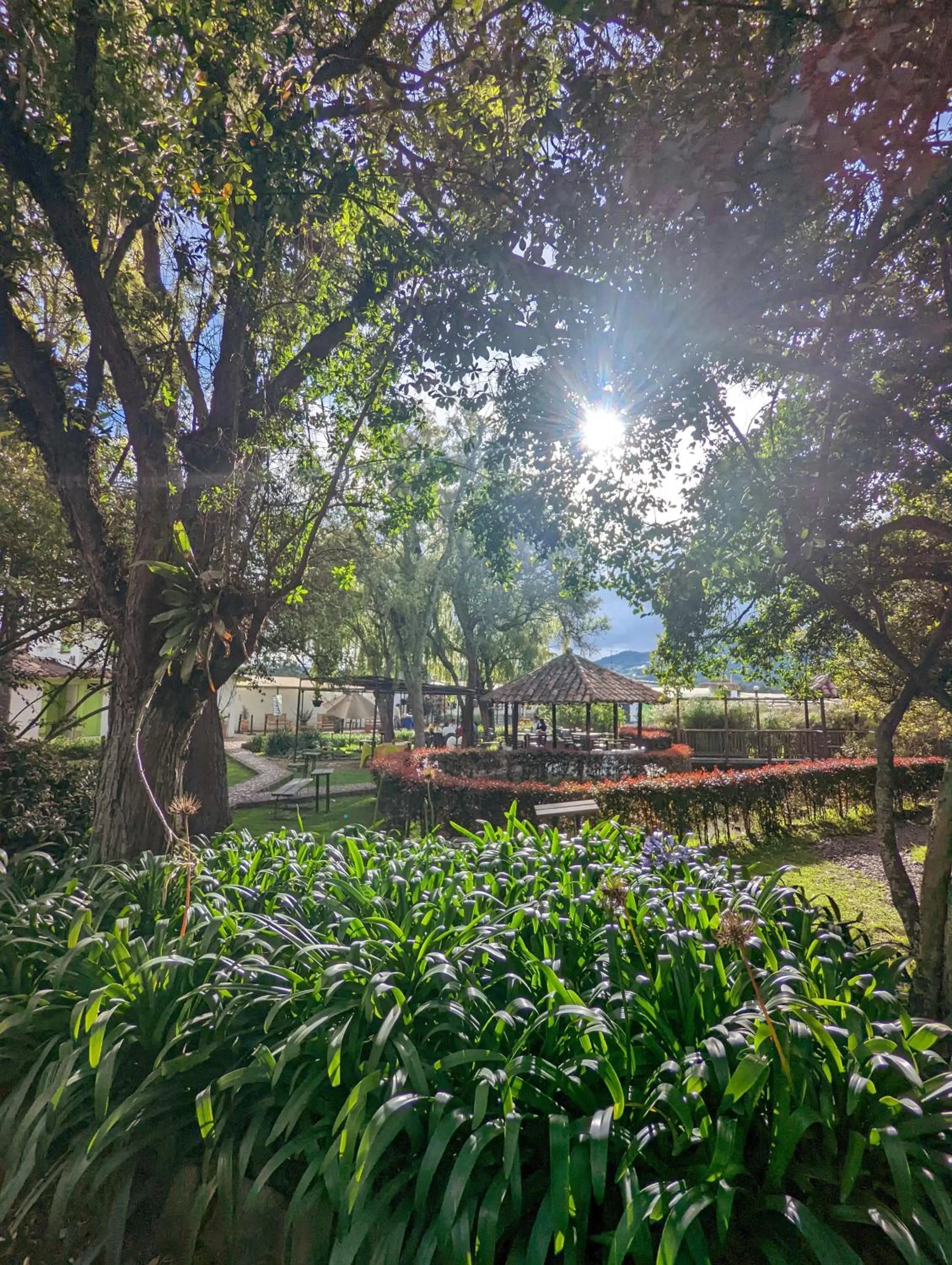 Lake view in Posada Cafe La Huerta