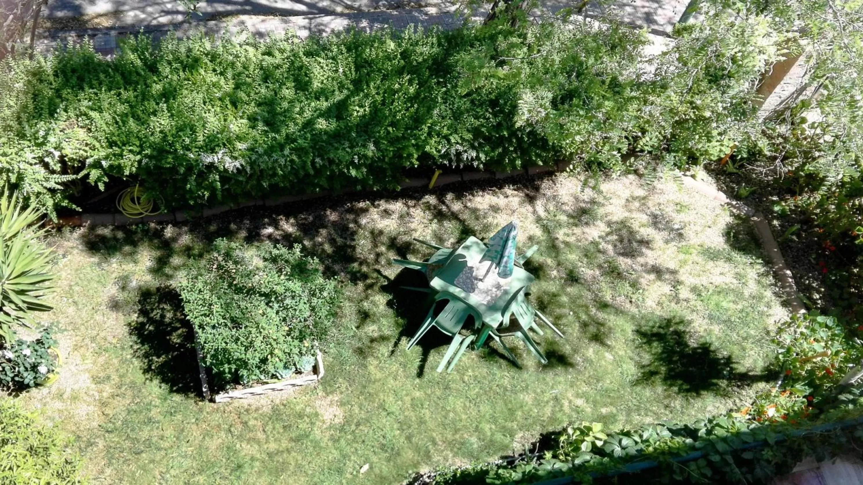 Garden in B&B Pani Silvio