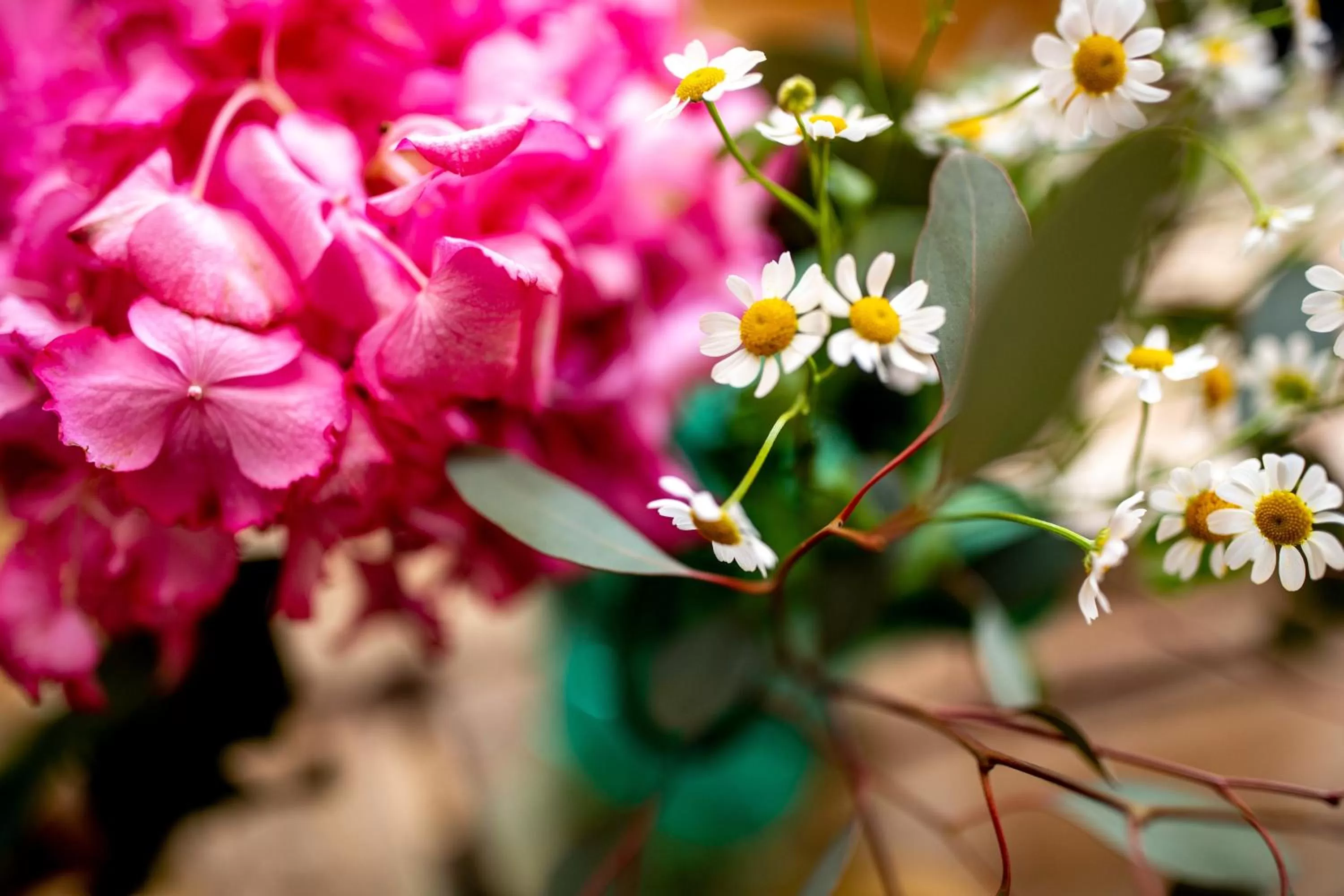 Spring in Hotel und Restaurant Haus Sajons