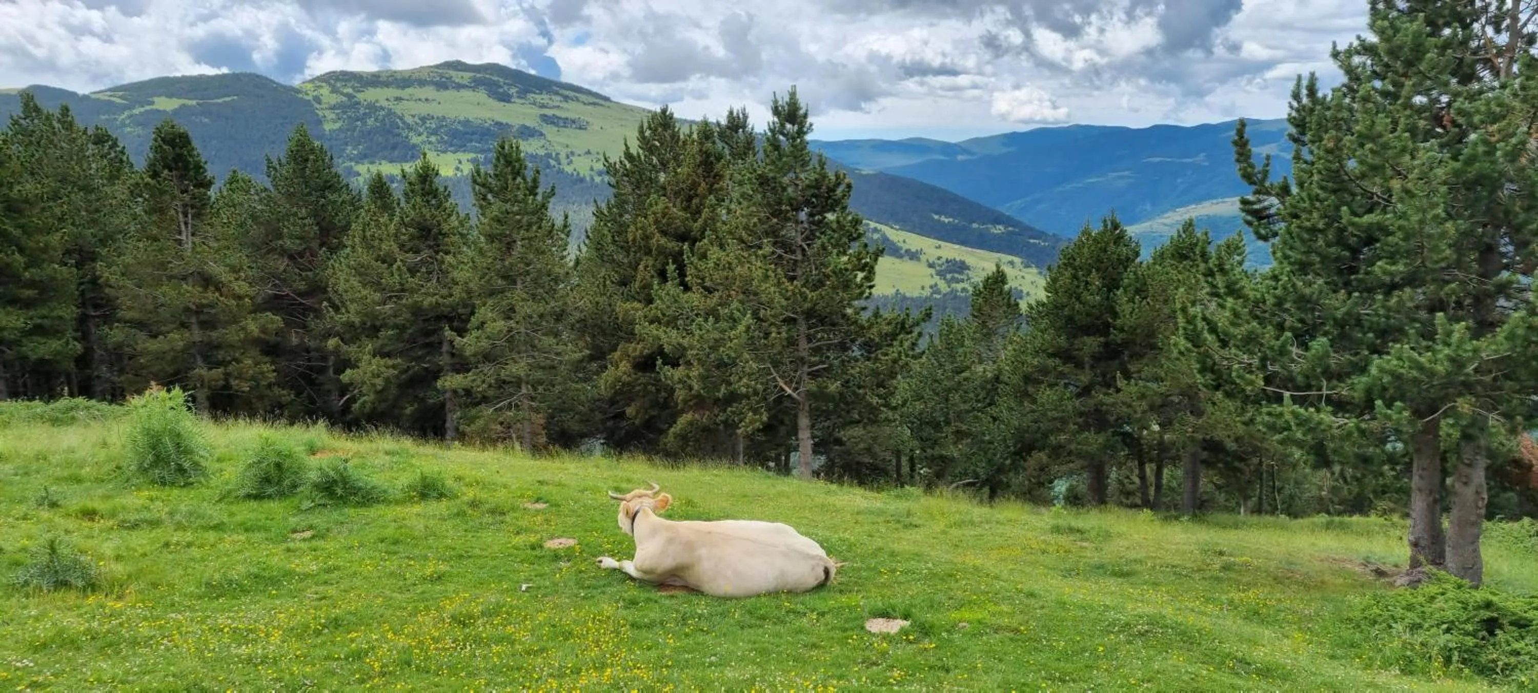 Natural landscape in Hotel Mas de Xaxas