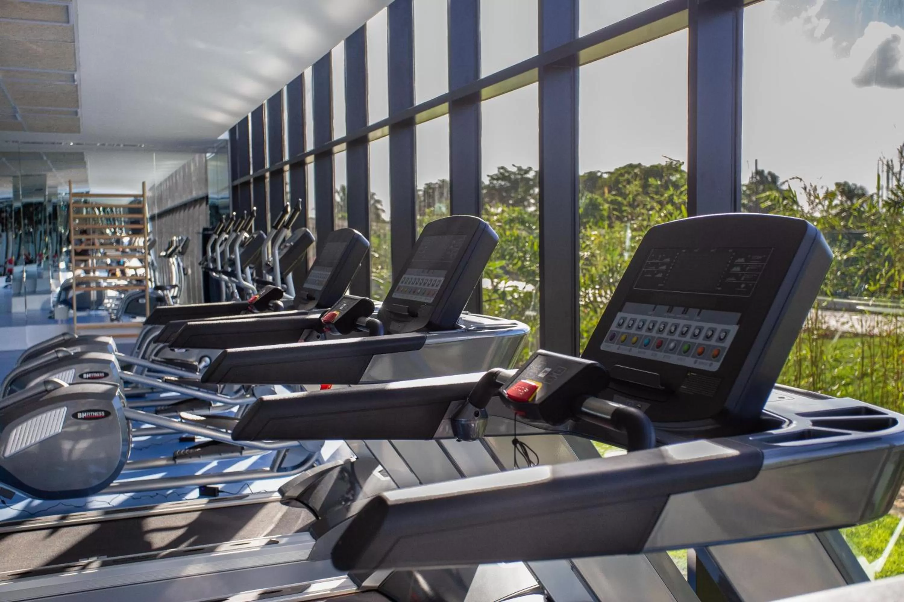 Activities in Serenade Punta Cana Beach & Spa Resort