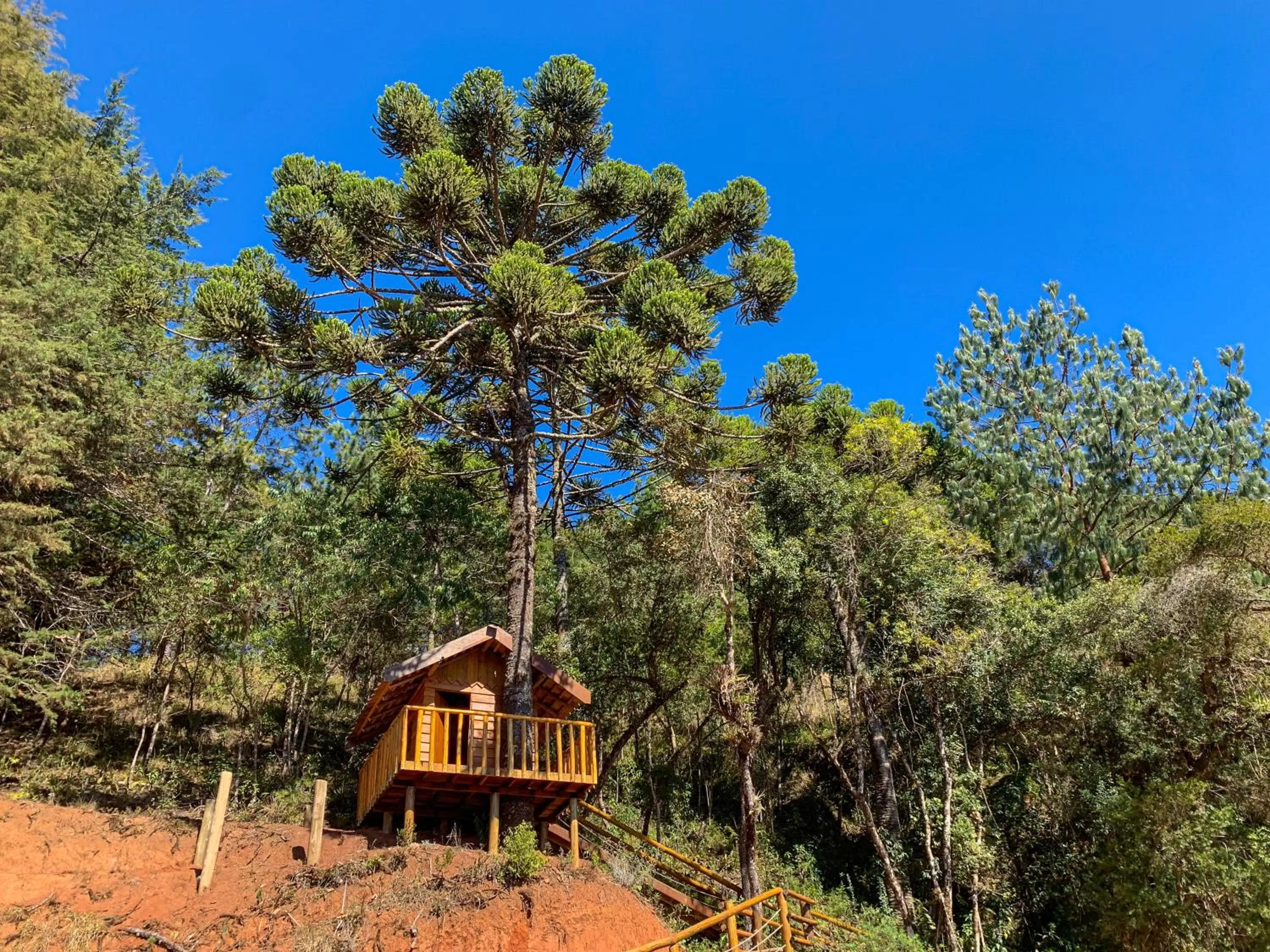 Property building in DOM Hotel