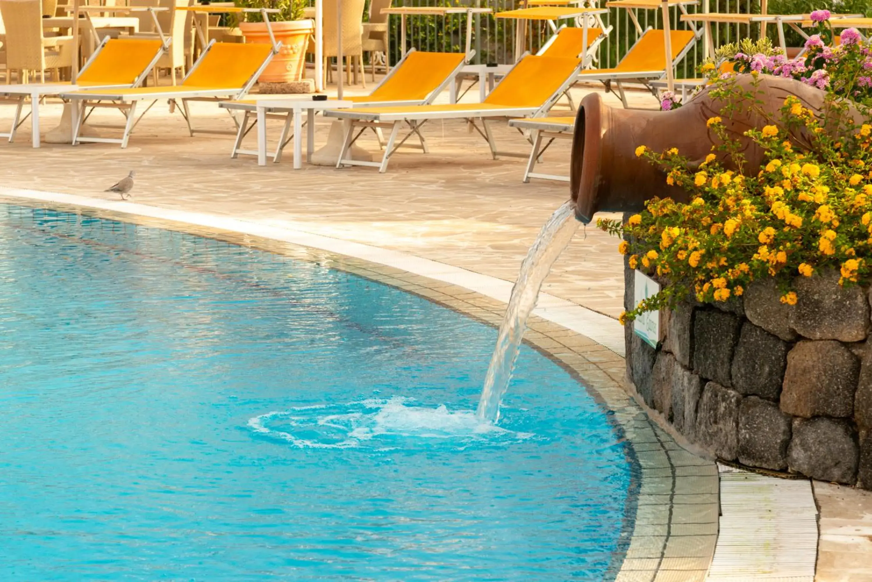 Solarium, Swimming Pool in Hotel Parco Delle Agavi