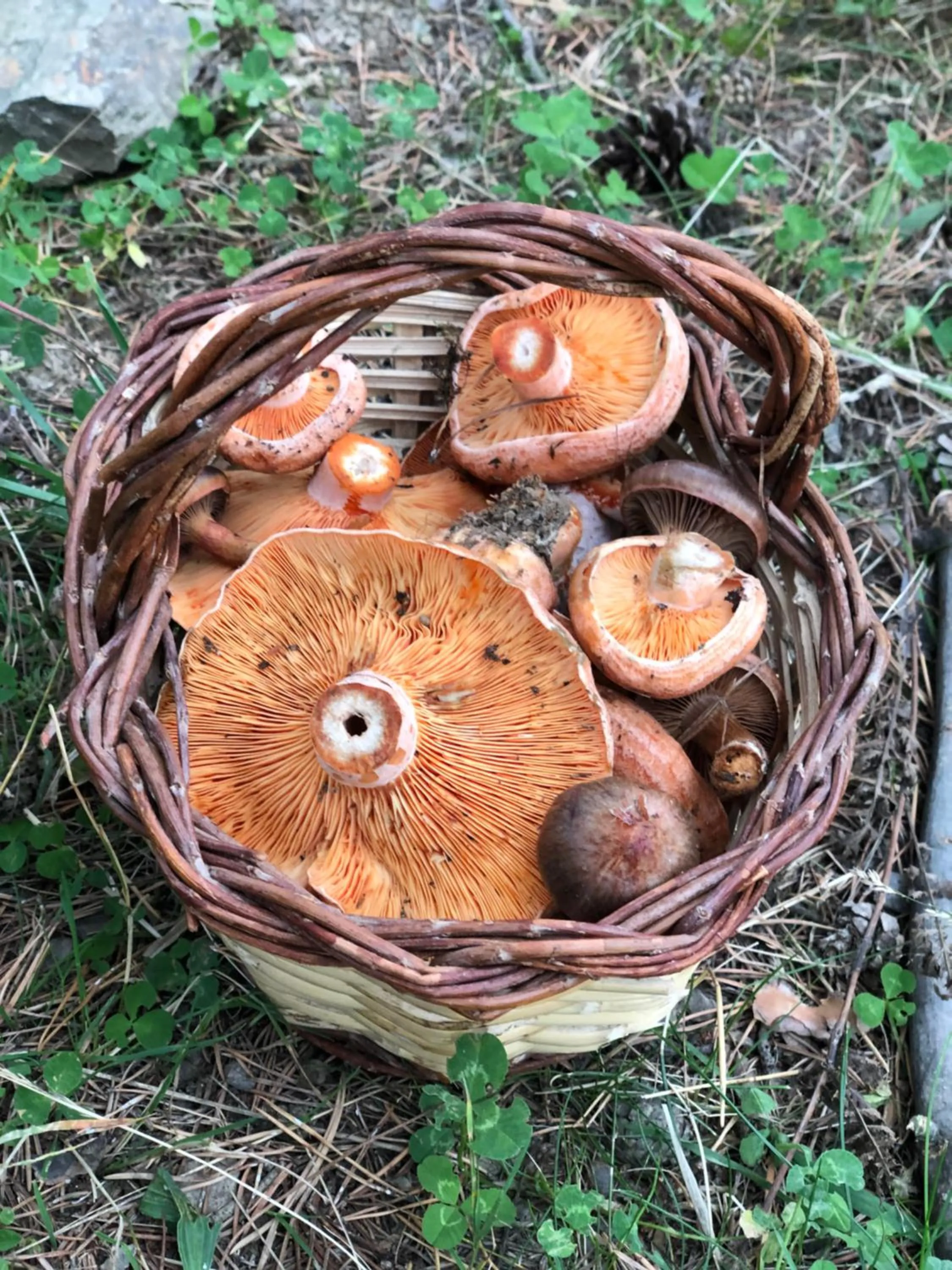 Other in Hotel del Prado