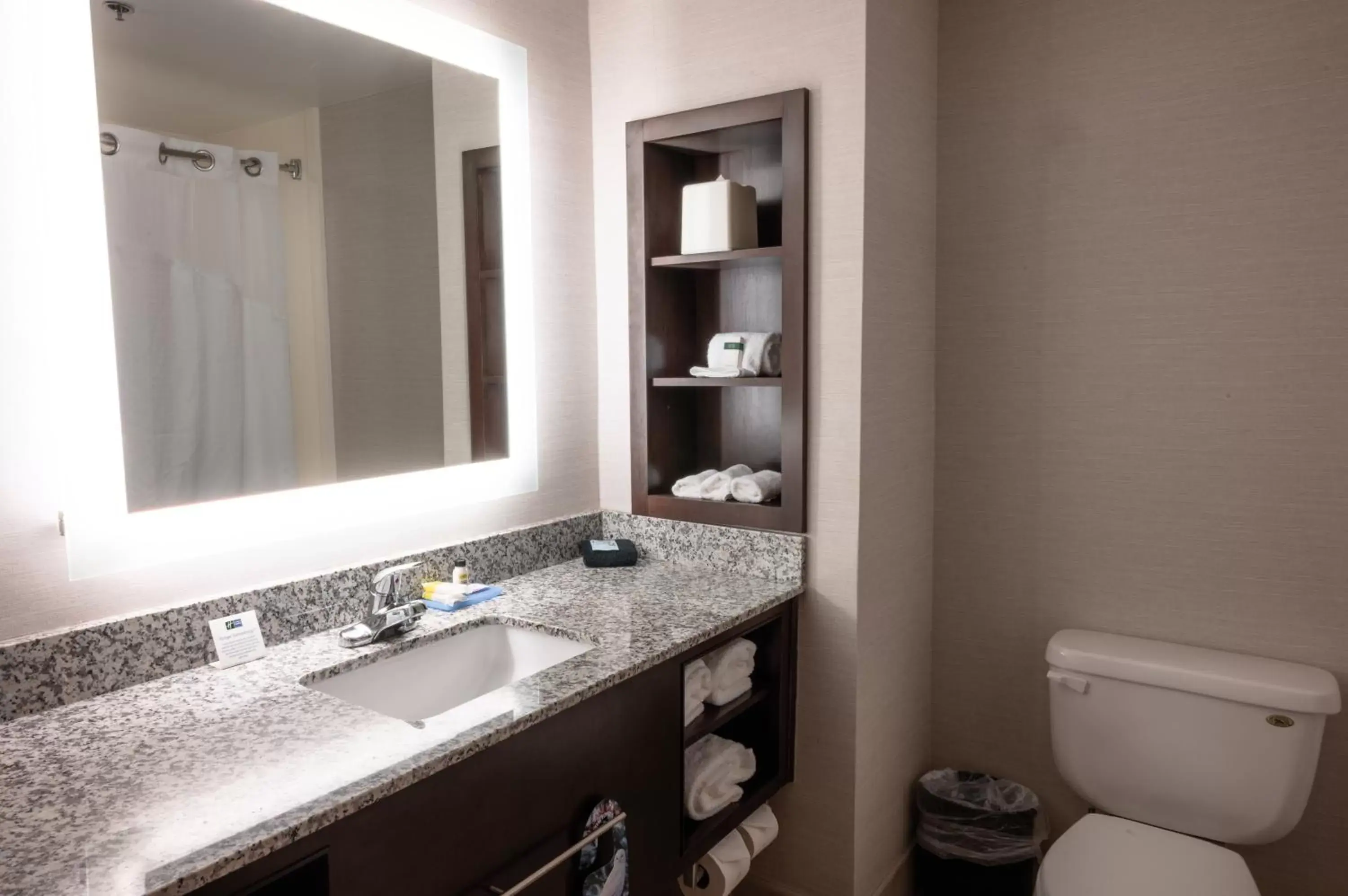 Bathroom in Holiday Inn Express & Suites - Tuscaloosa-University, an IHG Hotel