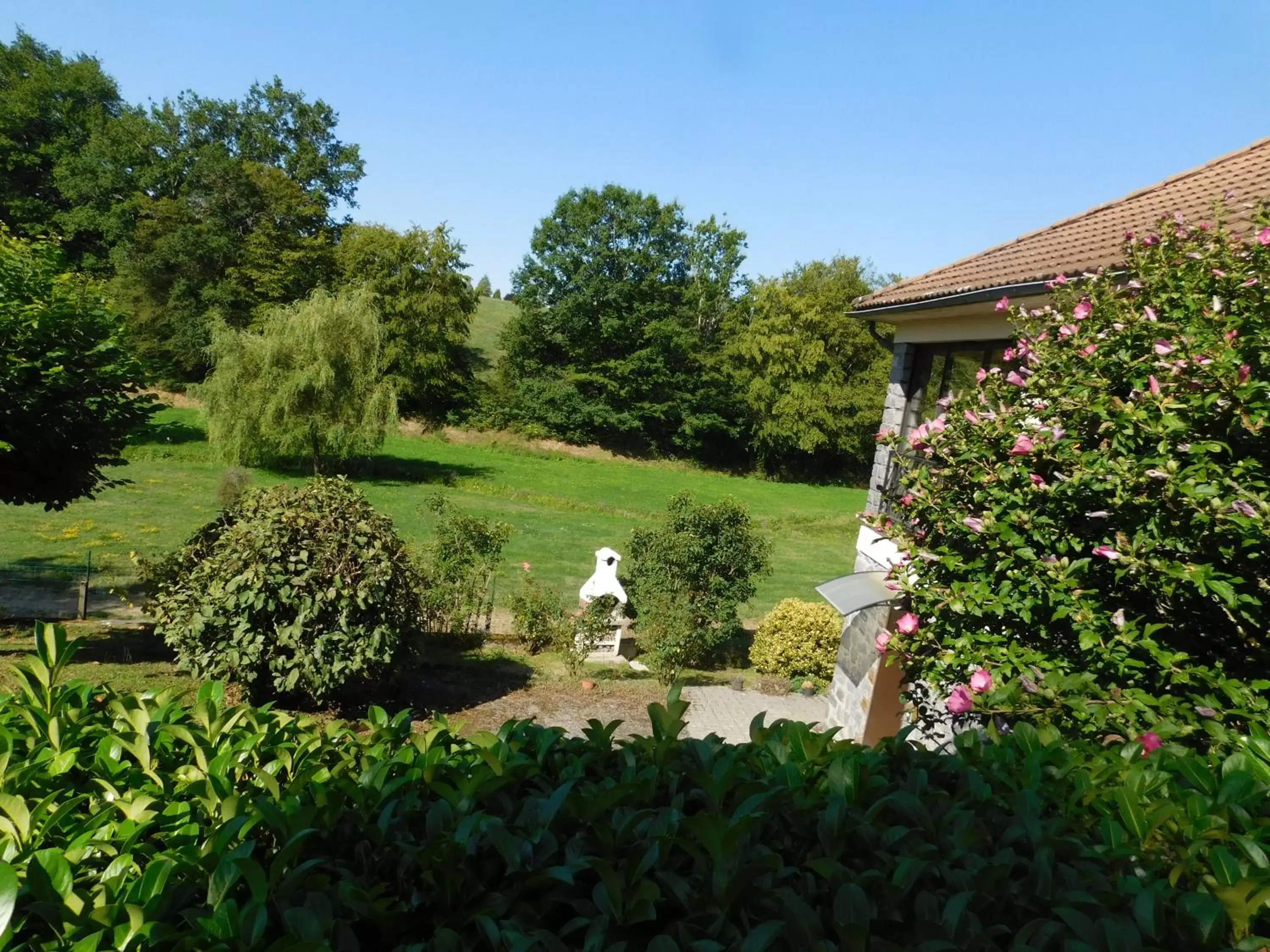 Natural landscape, Garden in Du coq à l'âme